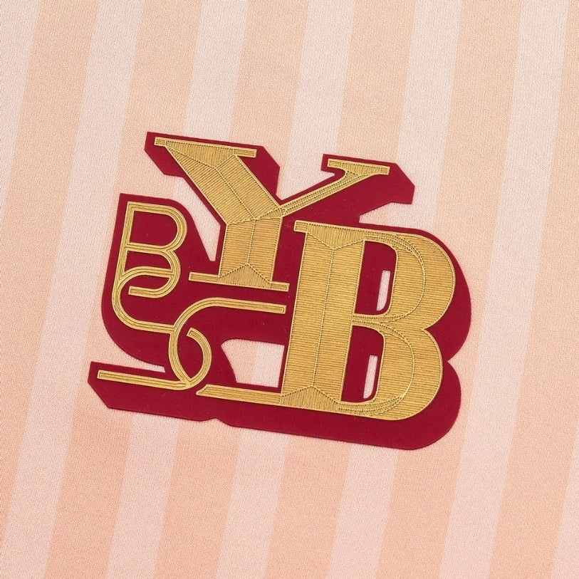 BSC Young Boys Troisième 25/26