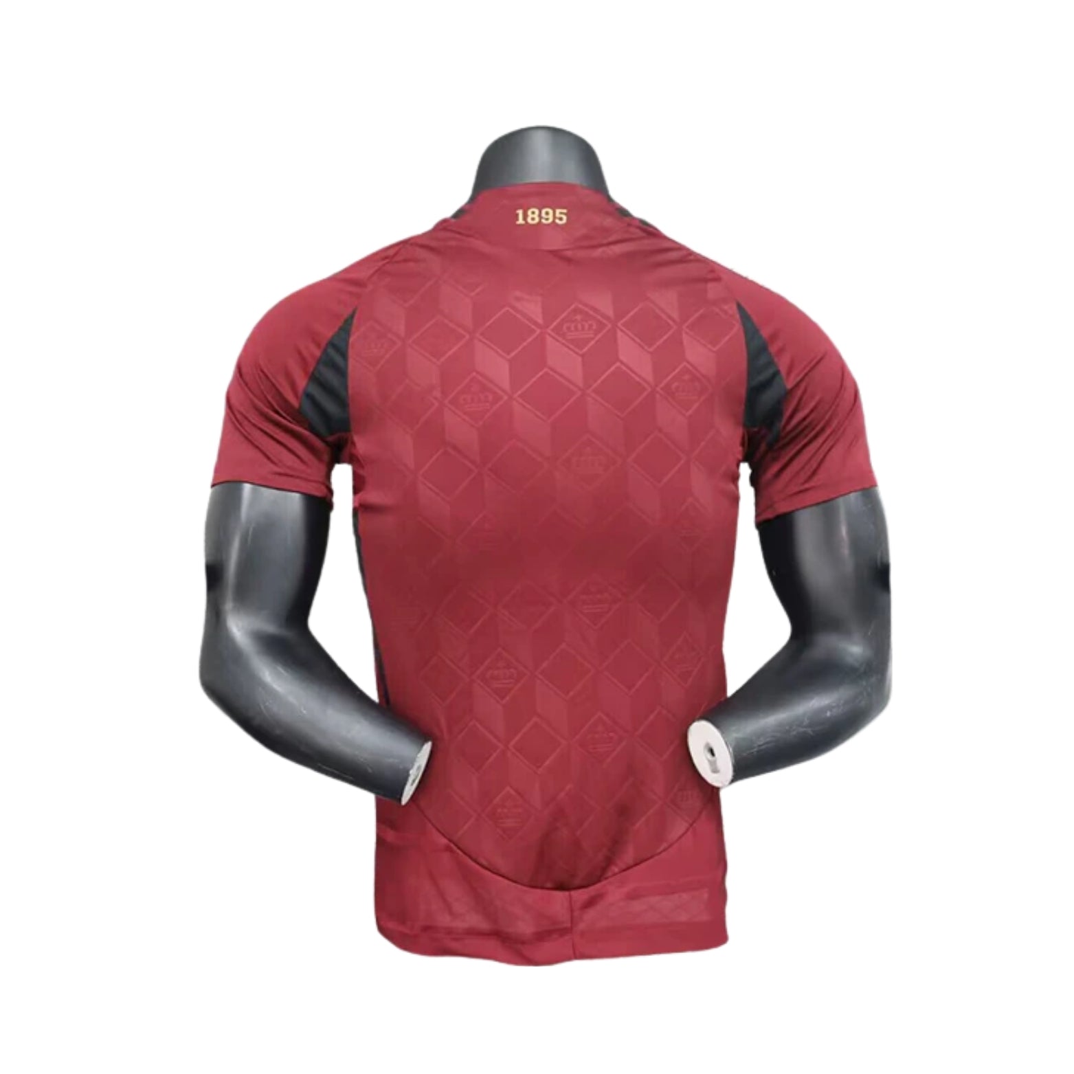 Belgique Domicile 24/25 - Version Joueur