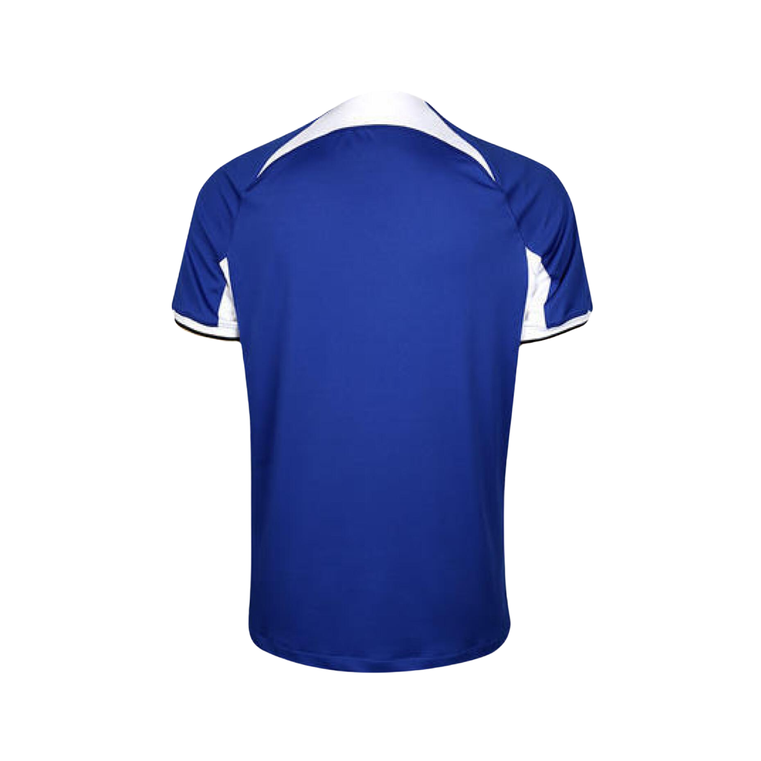 Chelsea Domicile 23/24