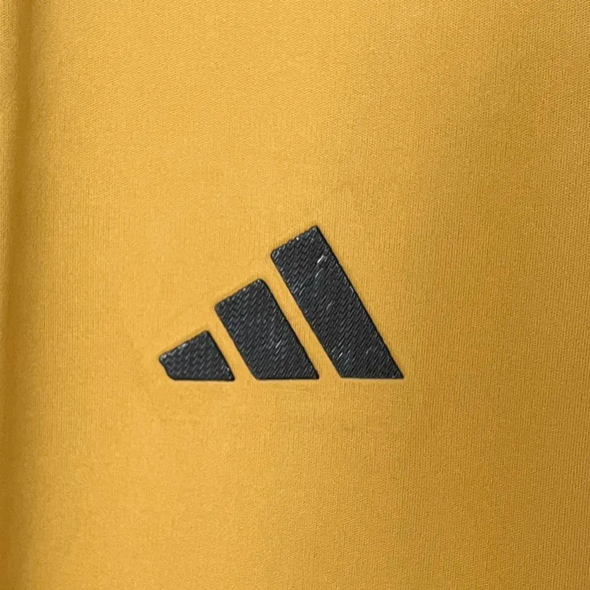 Colo-Colo Quatrième 24/25