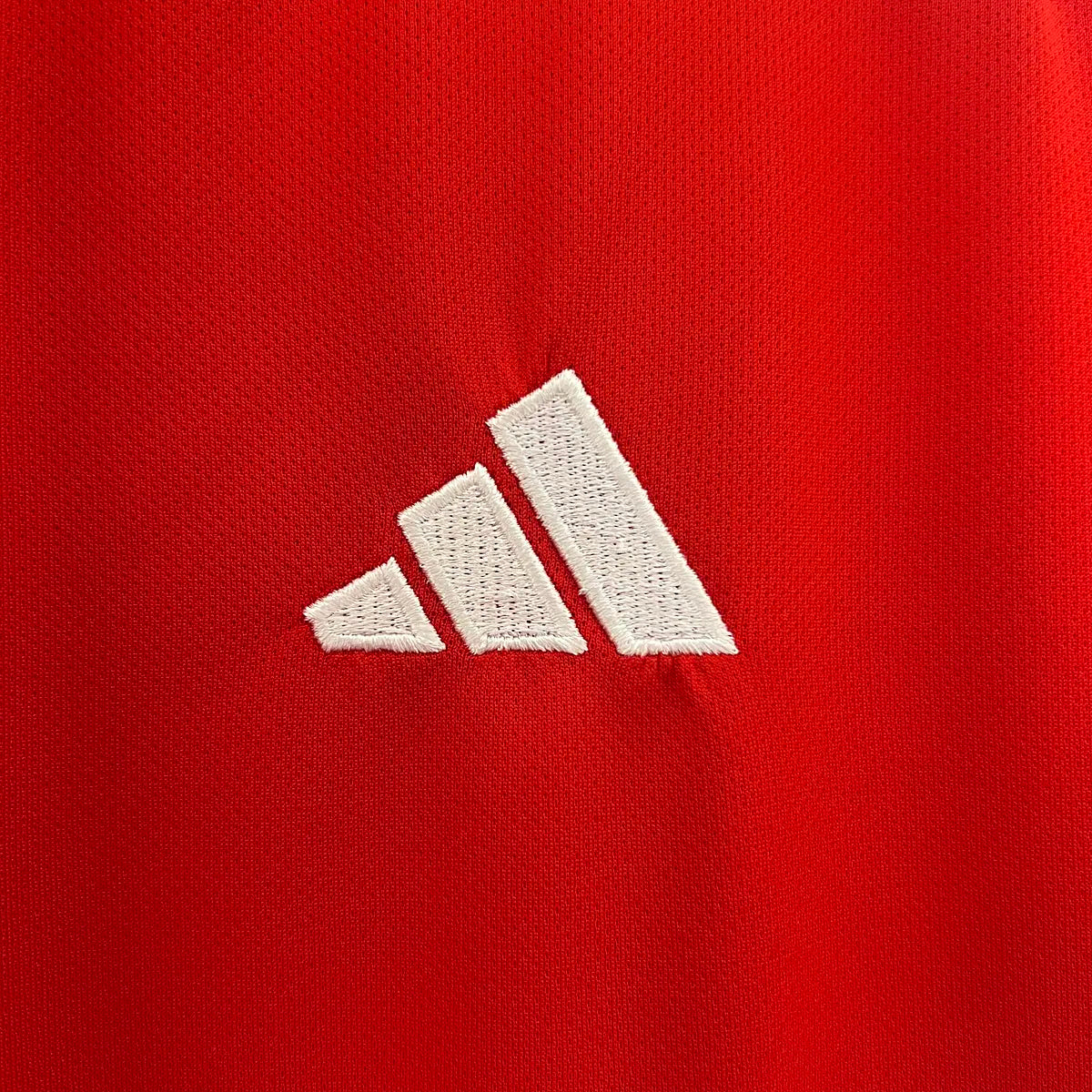 Colo-Colo Troisième 24/25