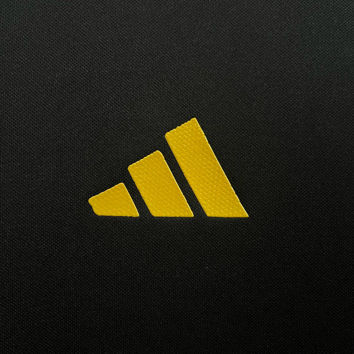 Colo-Colo Entraînement 24/25