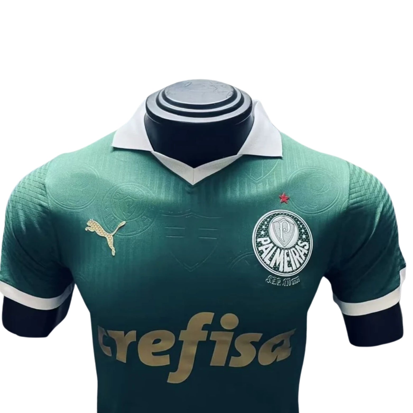 Palmeiras Domicile 24/25 - Version Joueur