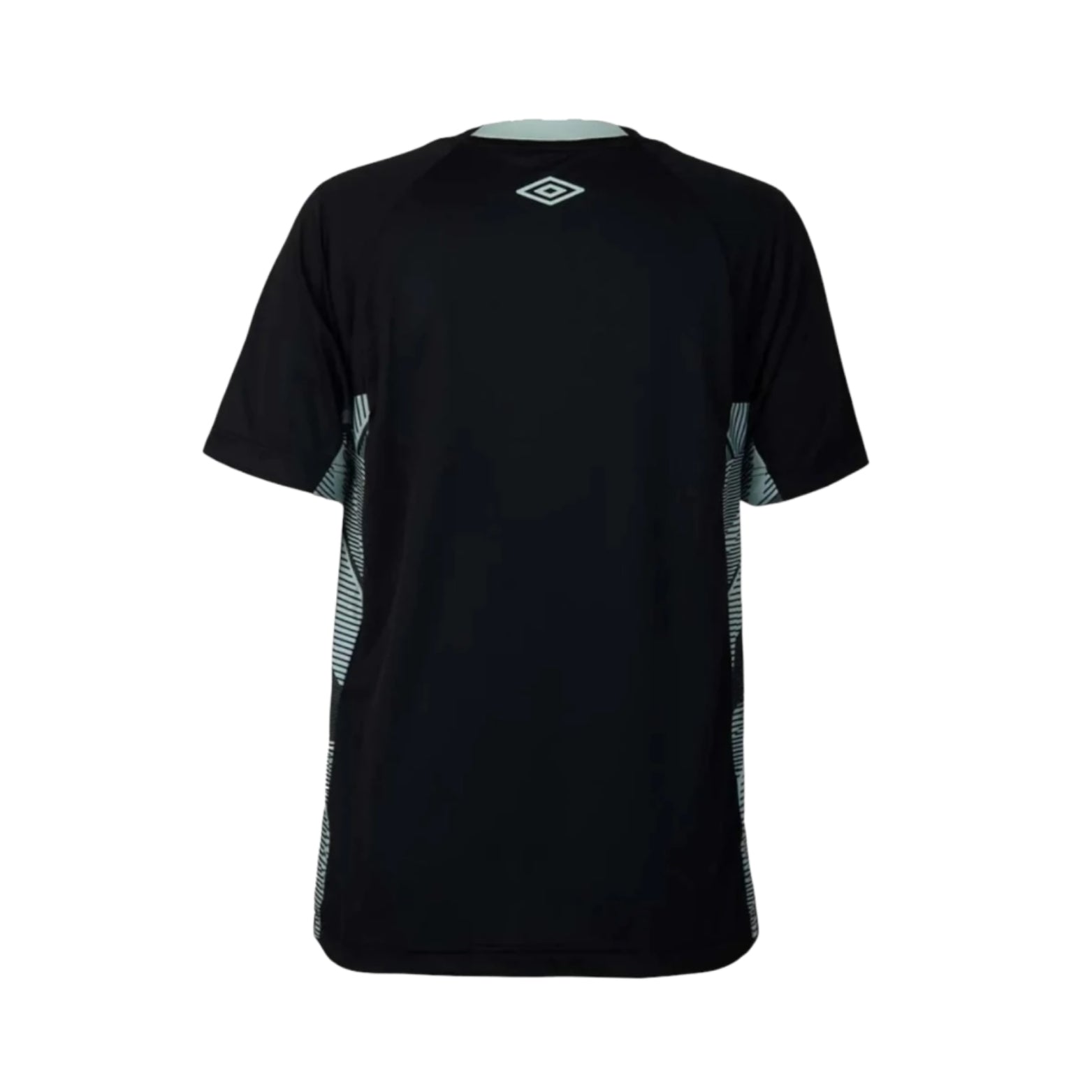 Fluminense Gardiens de But 25/26