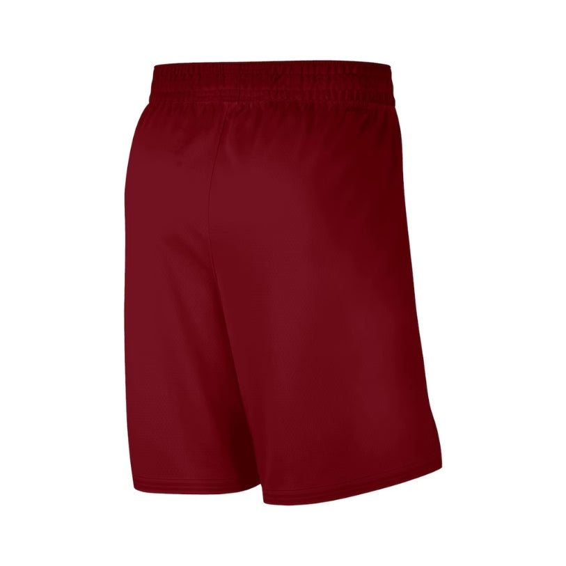 Cleveland Cavaliers Icon Edition 24/25