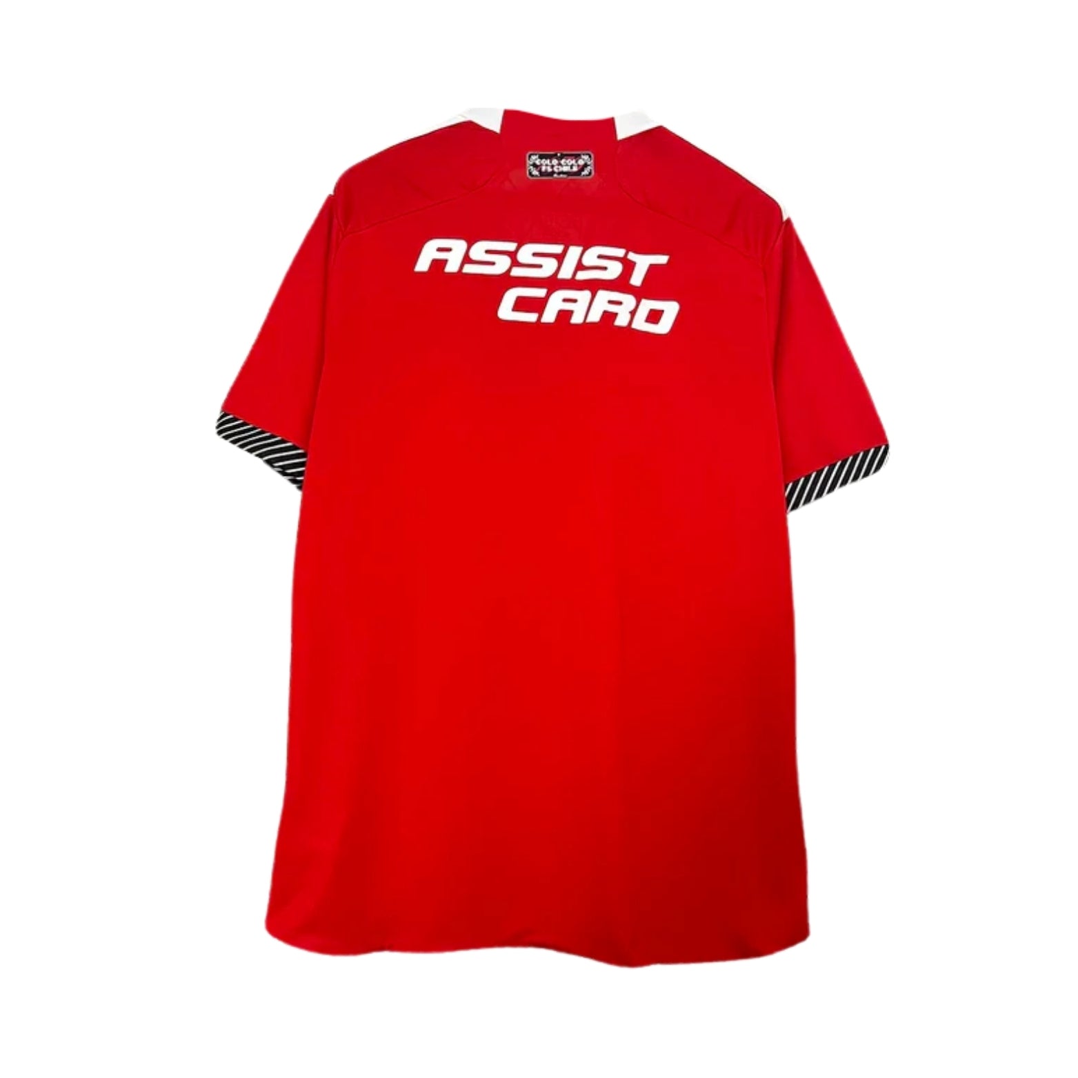 Colo-Colo Troisième 24/25