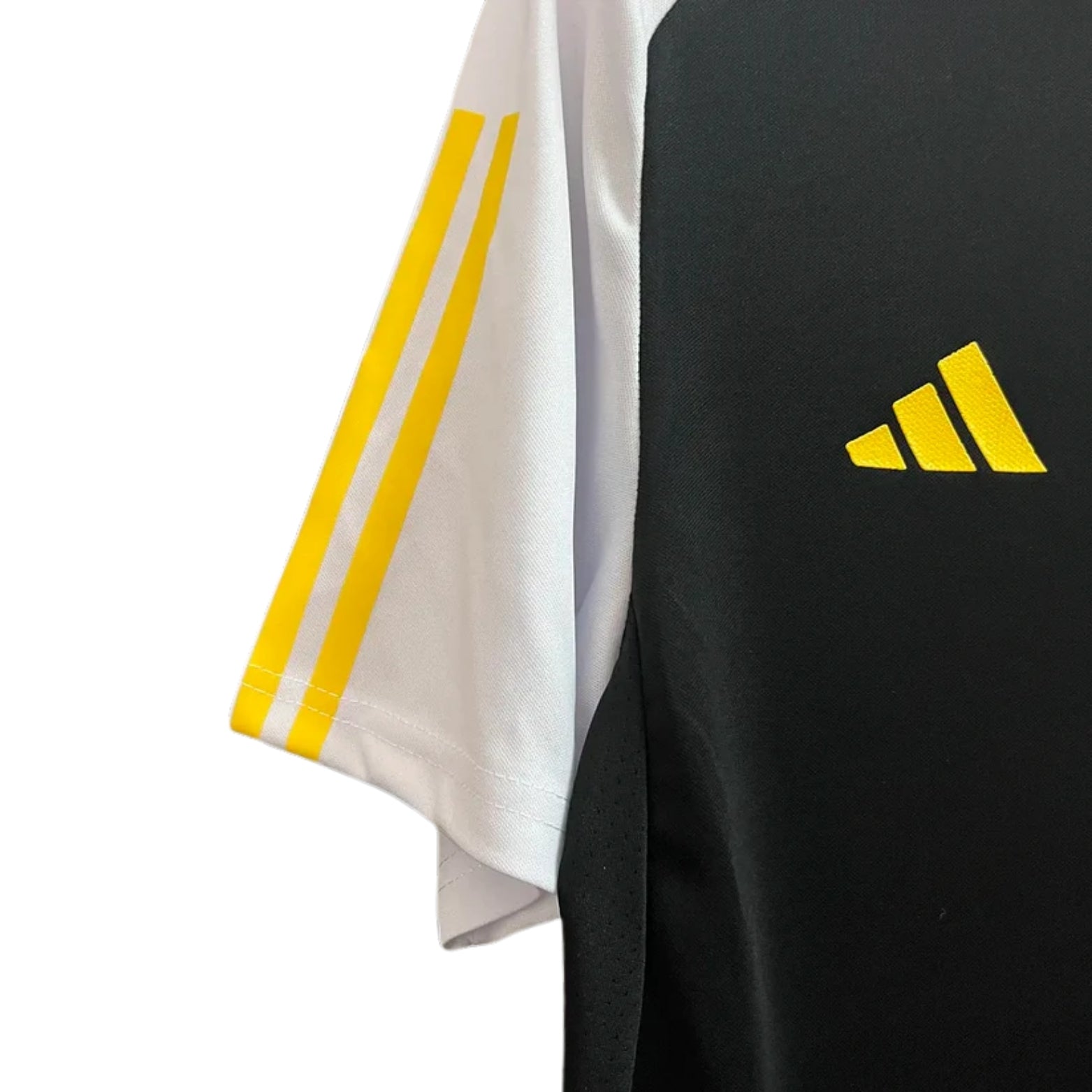 Colo-Colo Entraînement 24/25