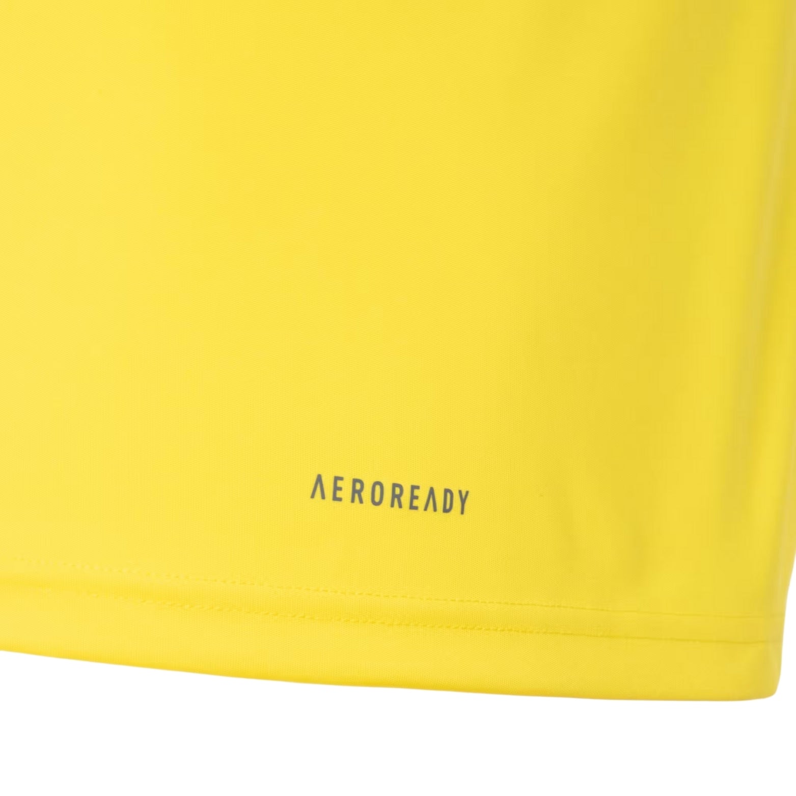 Flamengo Entraînement 24/25