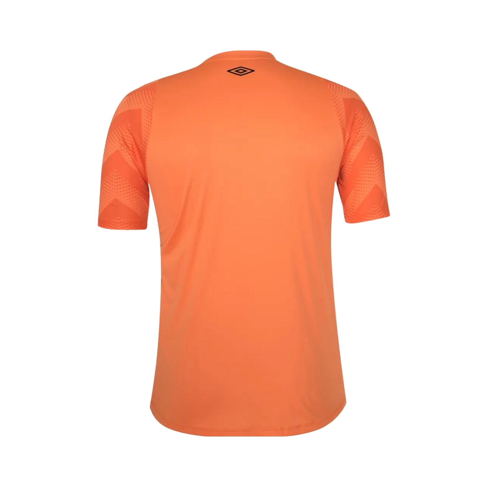 Fluminense Gardiens de But 24/25