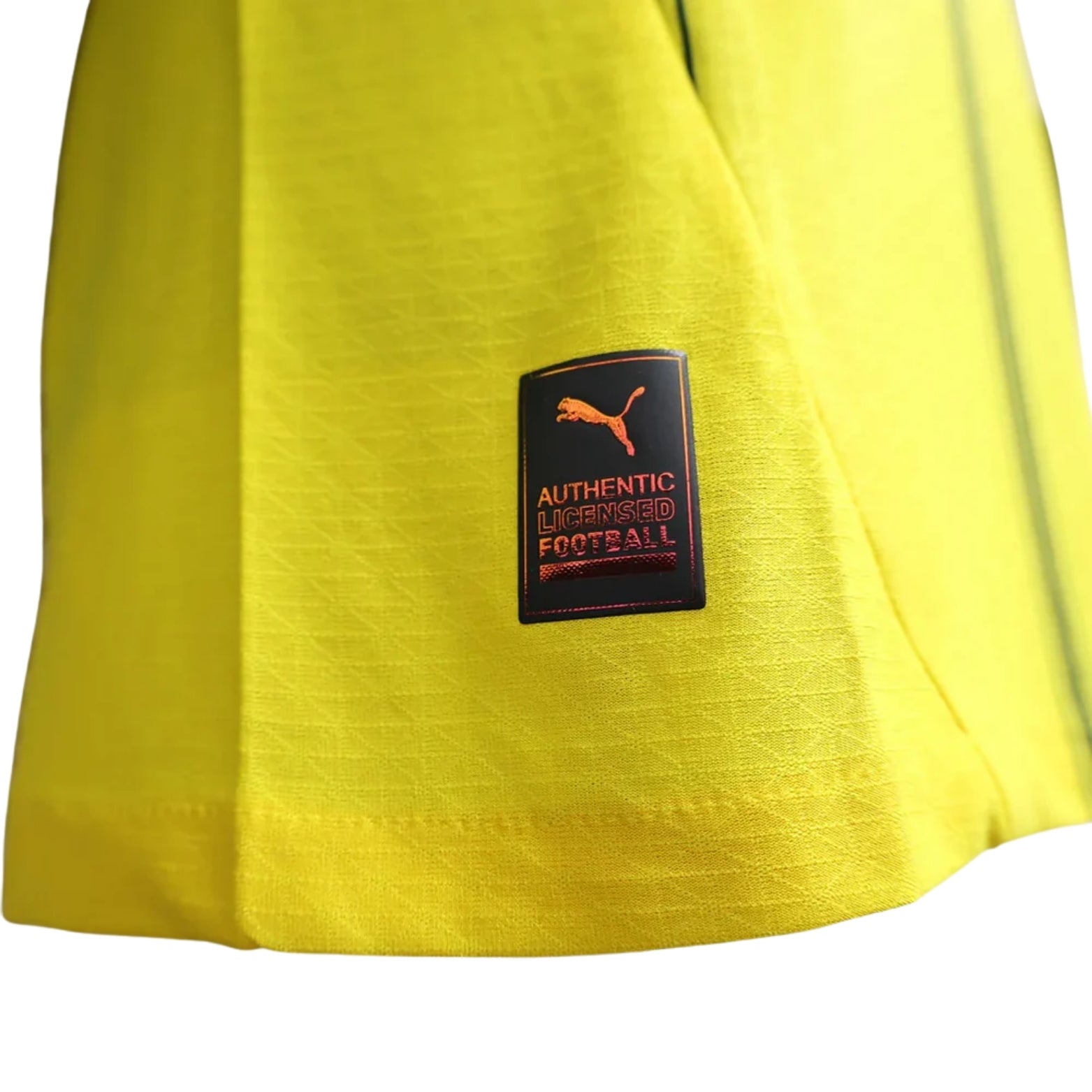 Borussia Dortmund Domicile 24/25 - Version Joueur