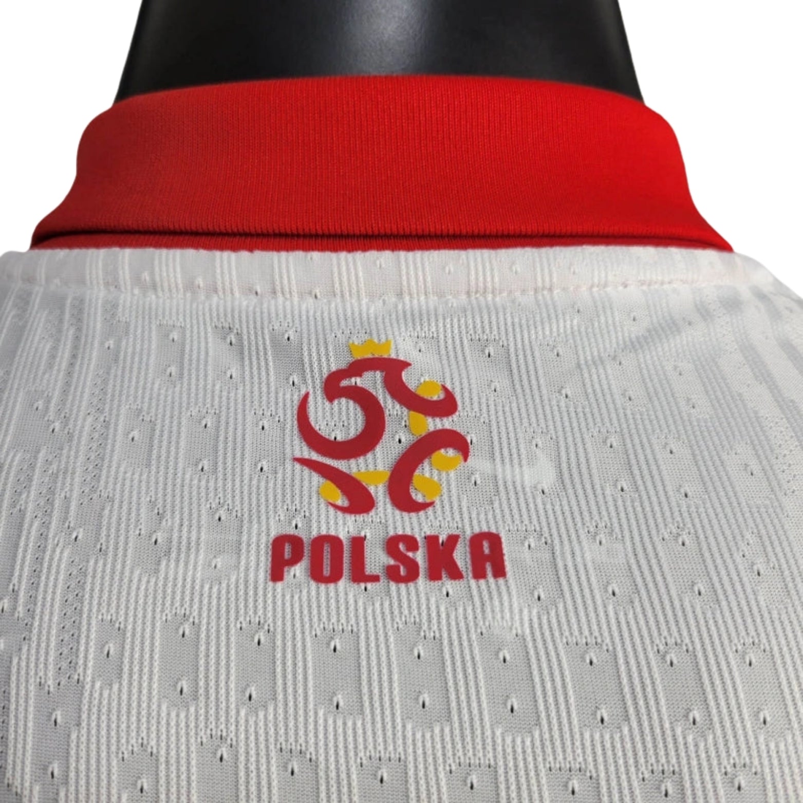 Pologne Domicile 24/25 - Version Joueur