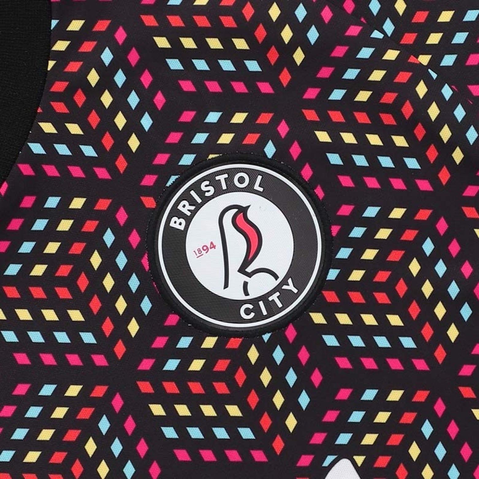 Bristol City Gardiens de But 25/26