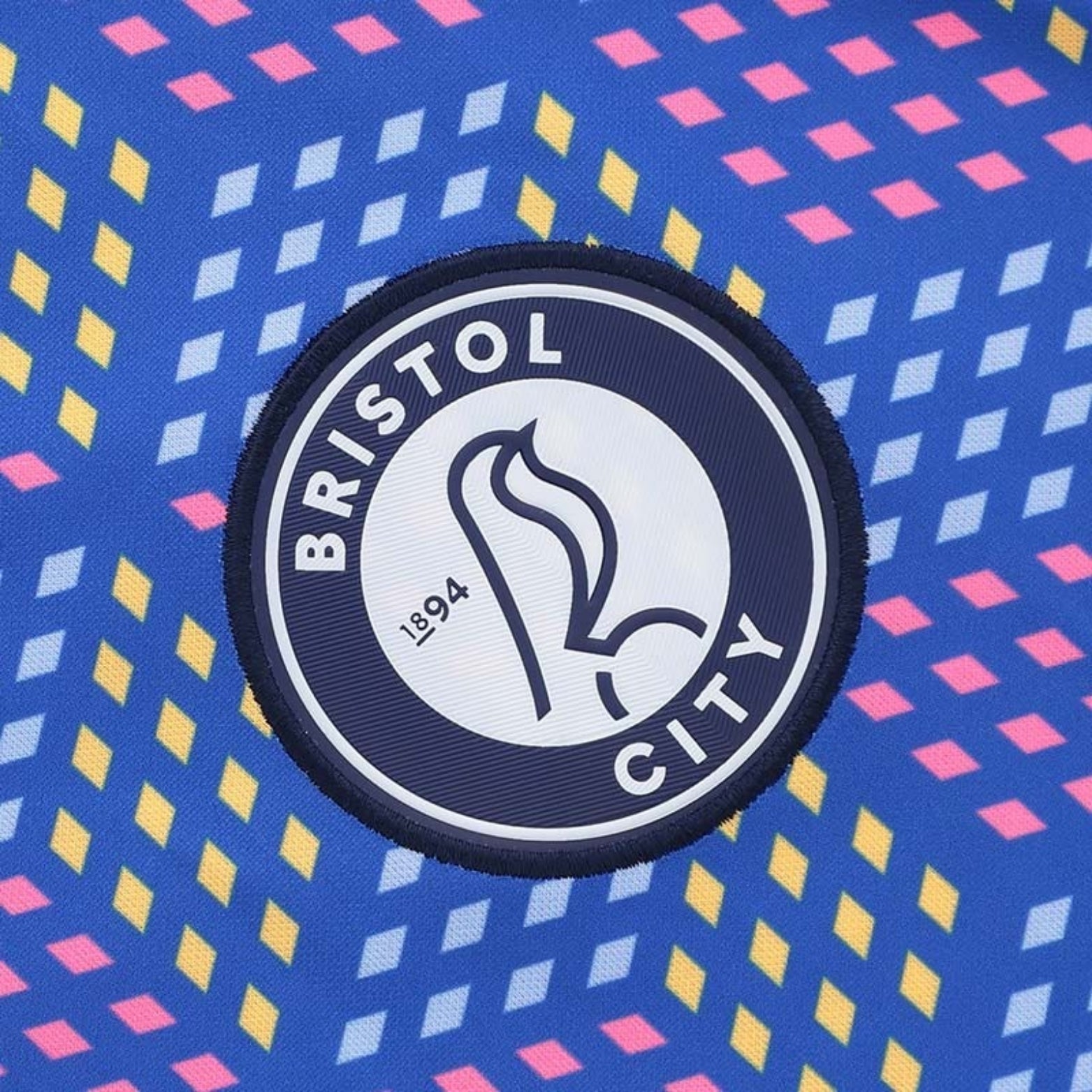 Bristol City Gardiens de But 25/26