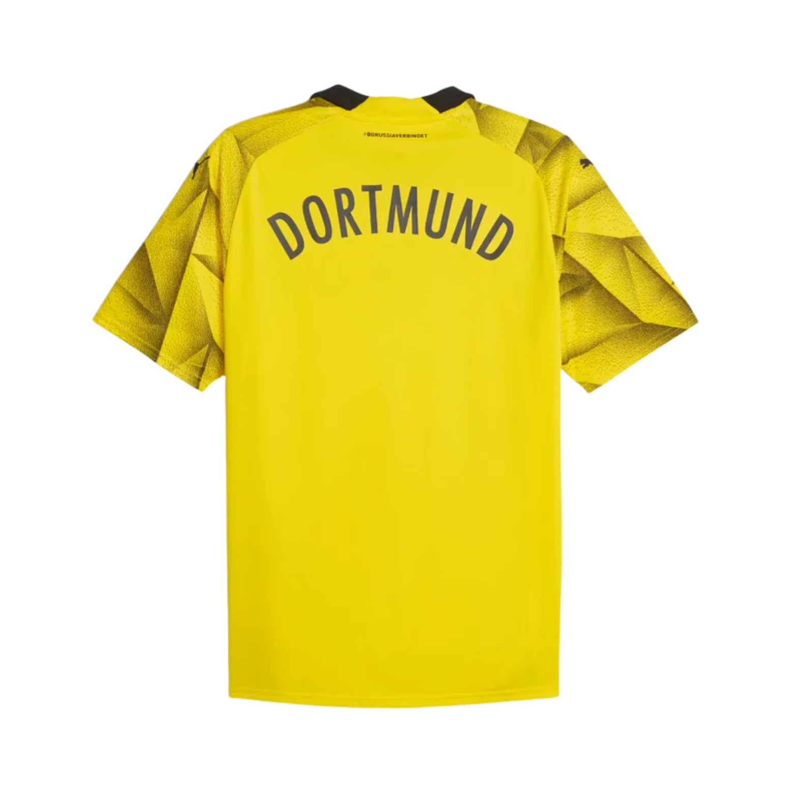 Borussia Dortmund Domicile 23/24