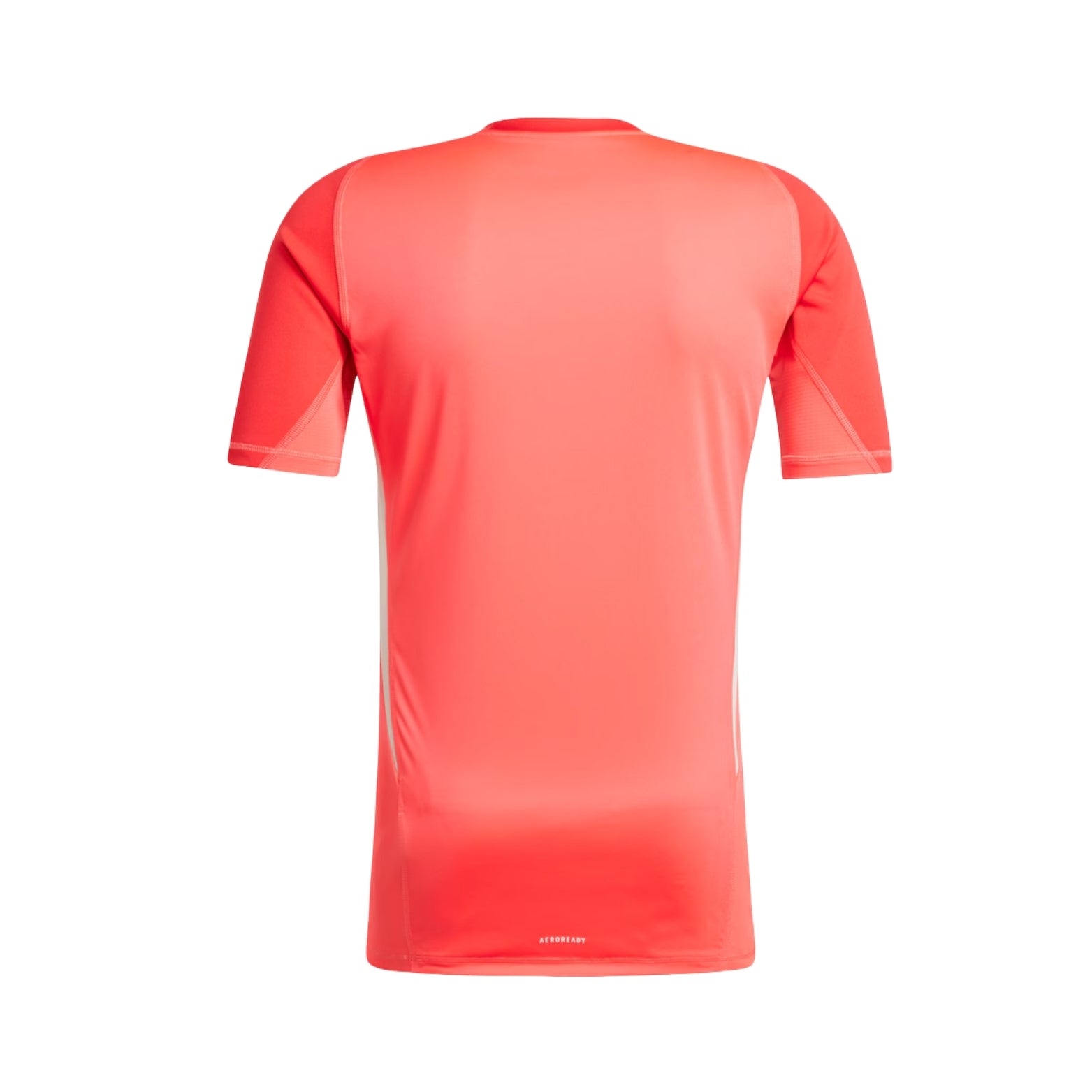 Nashville Gardiens de But 25/26