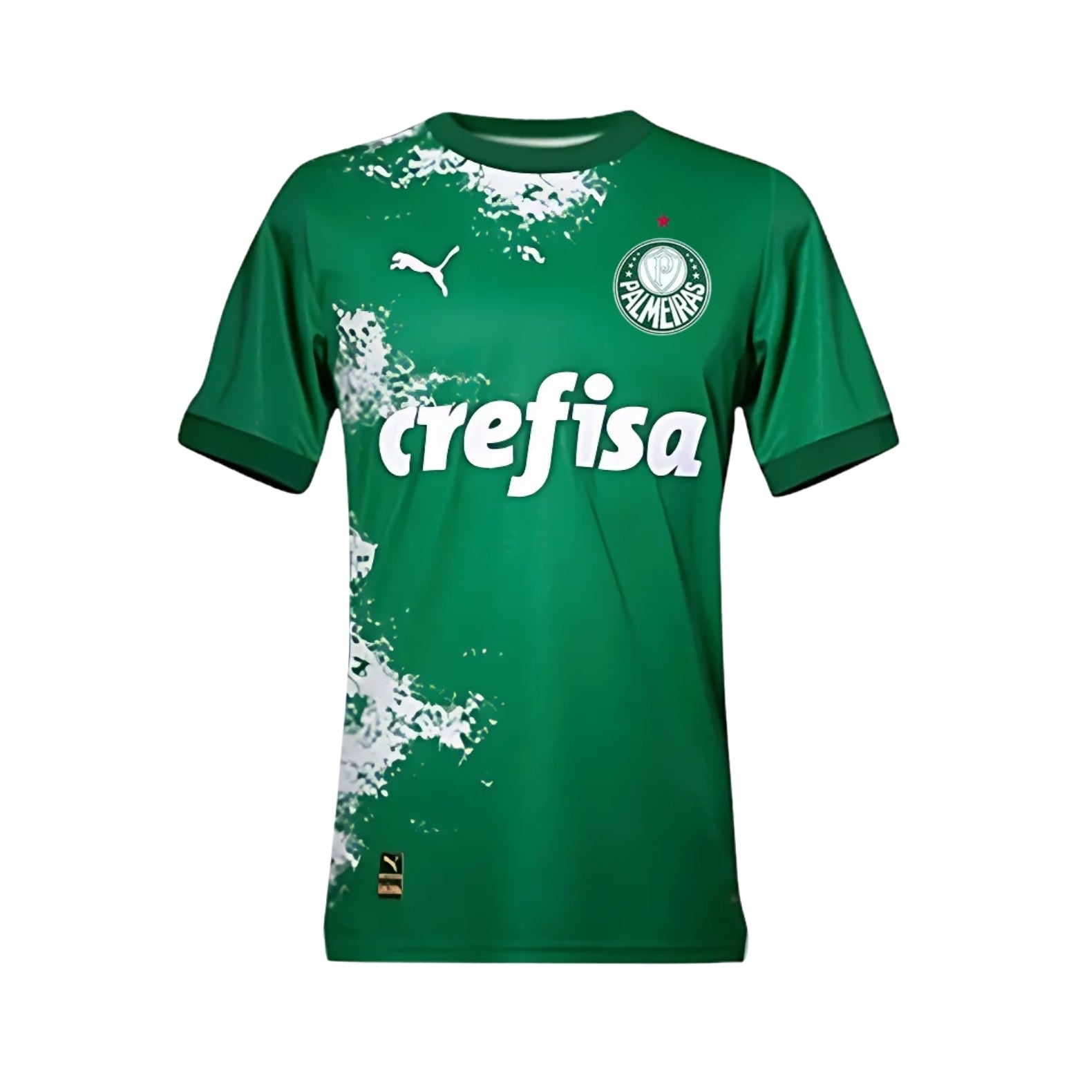 Palmeiras Édition Speciale 24/25