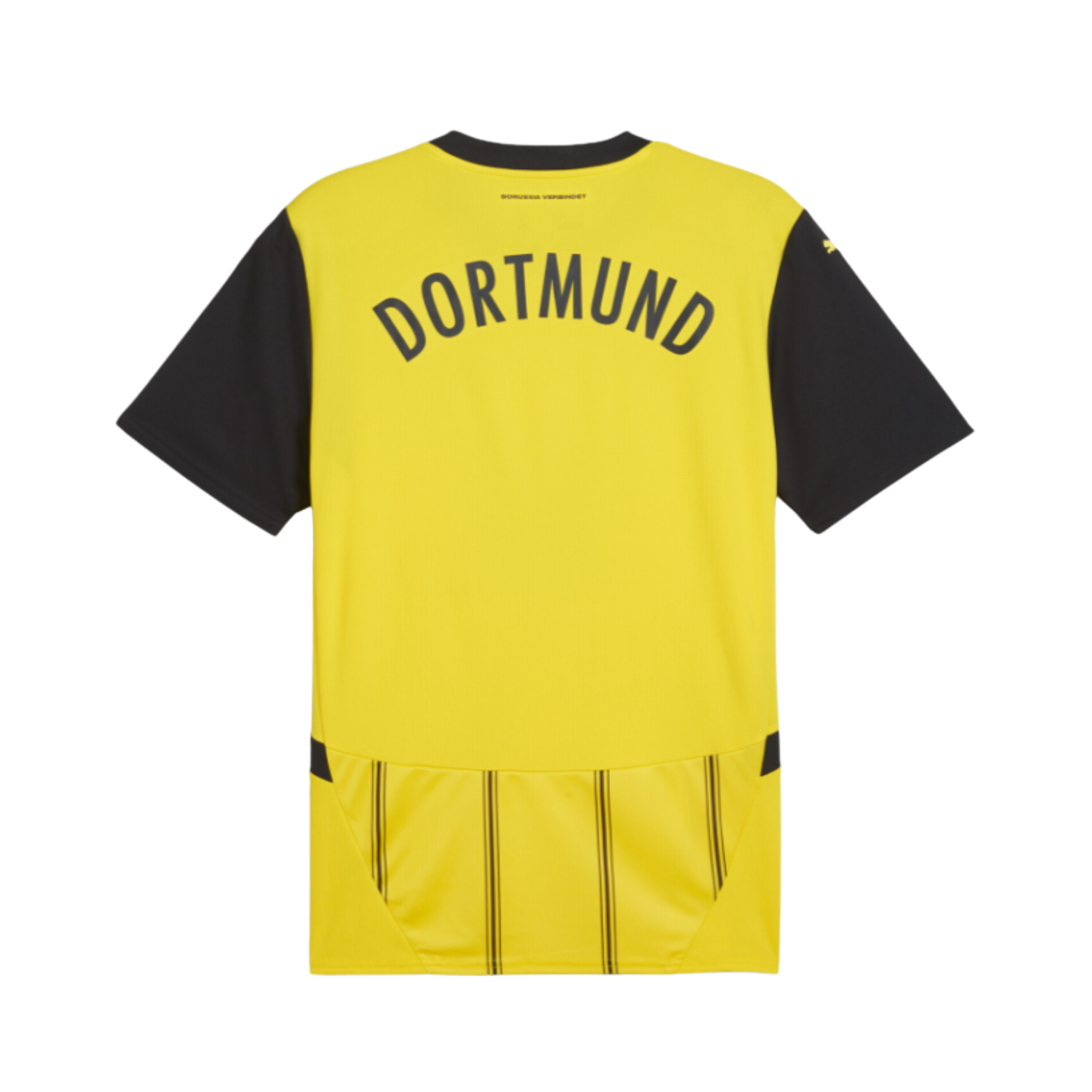 Borussia Dortmund Domicile 24/25