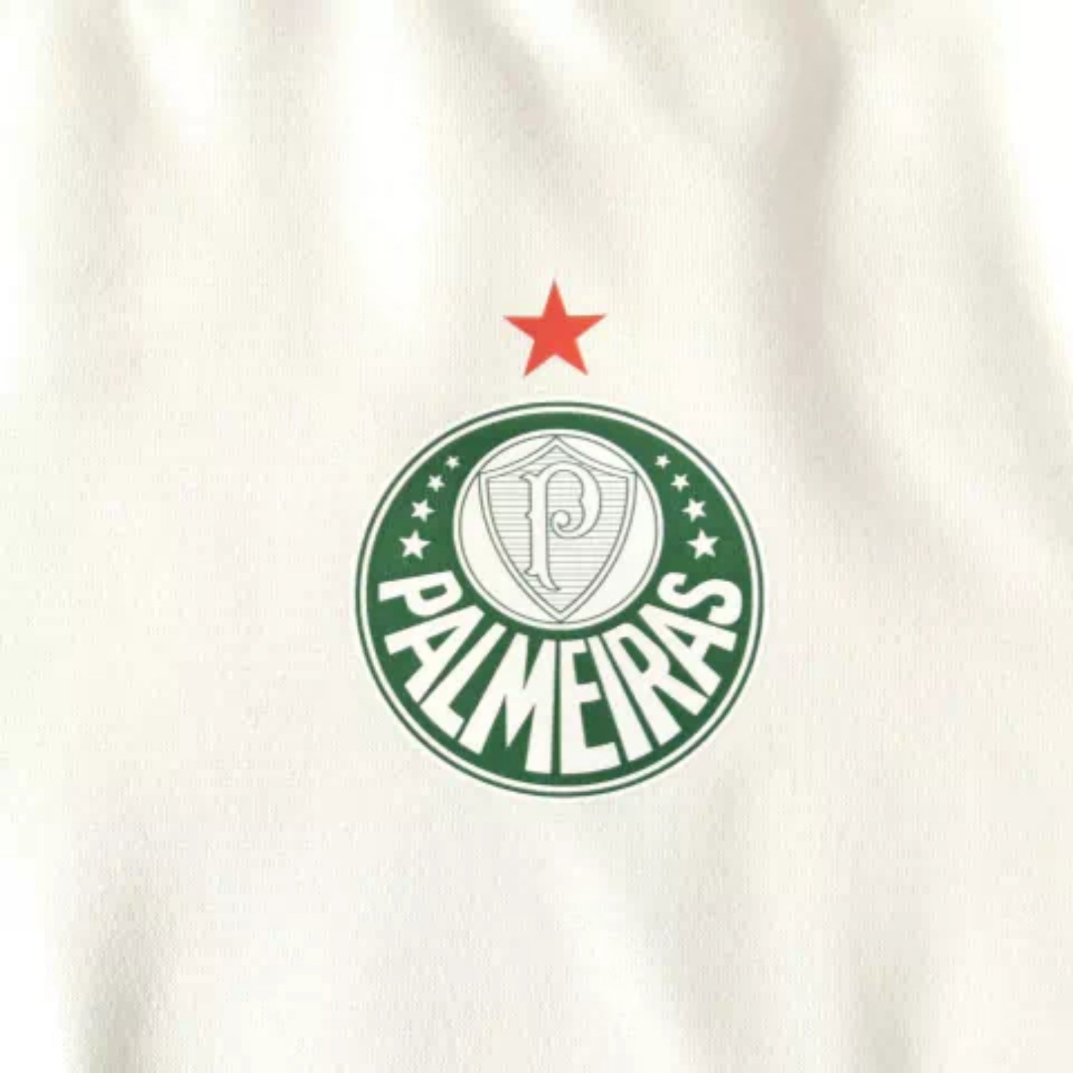 Palmeiras 25/26 - Sweat