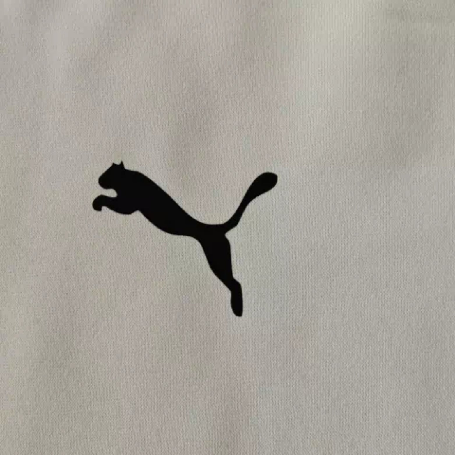 Palmeiras 25/26 - Sweat