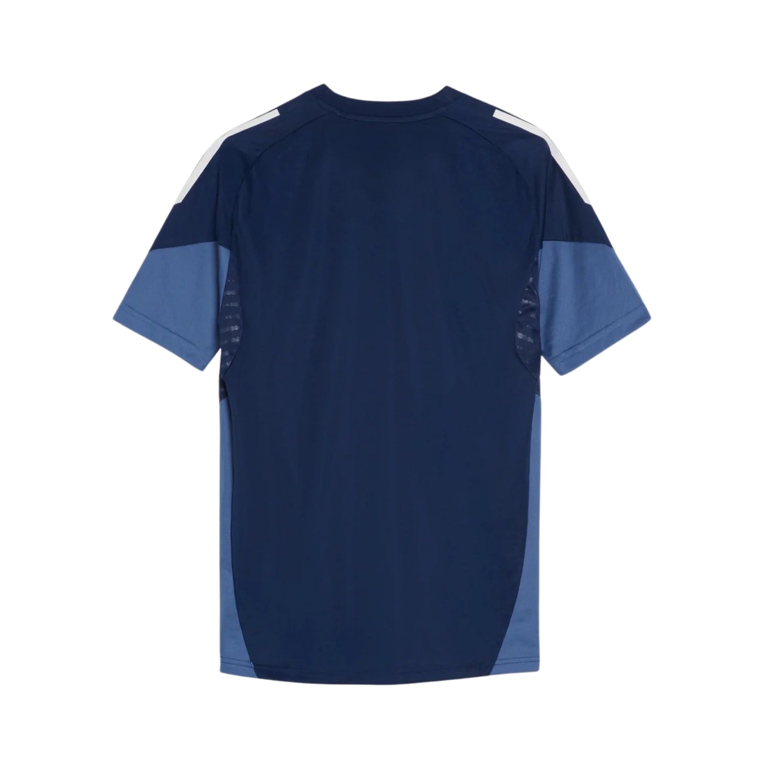 Pisa Entraînement 25/26