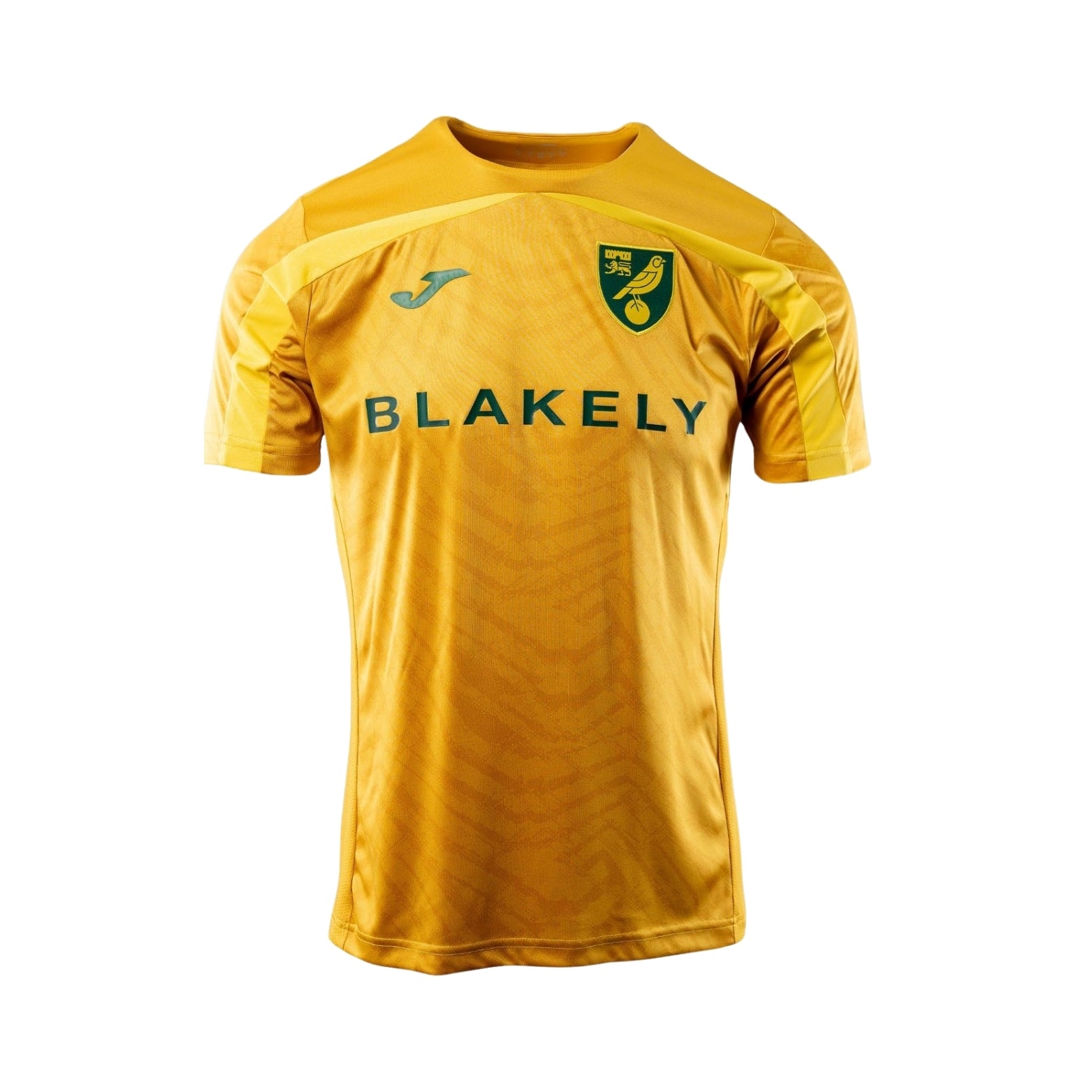 Norwich Entraînement 25/26