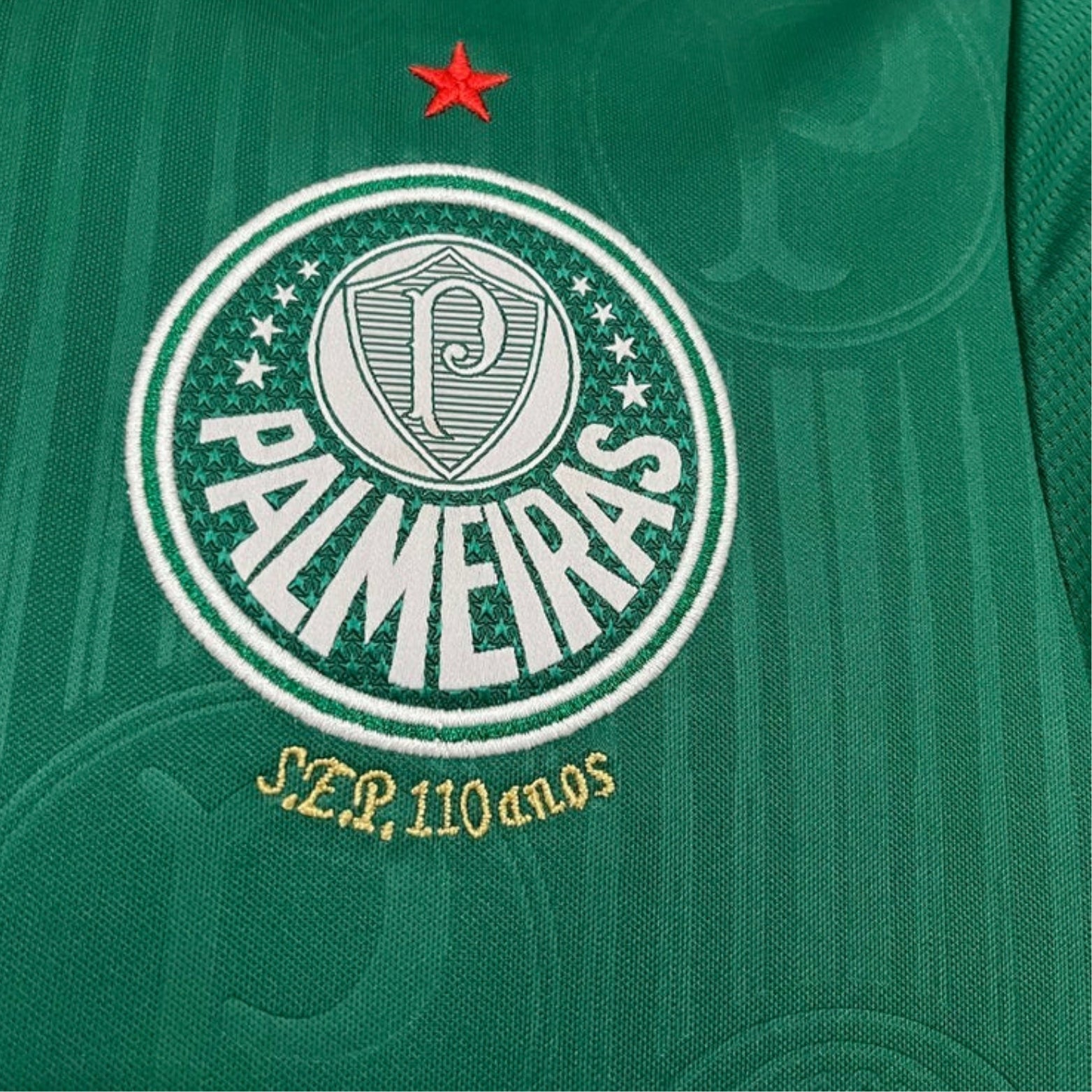 Palmeiras Domicile 24/25 - Version Féminine