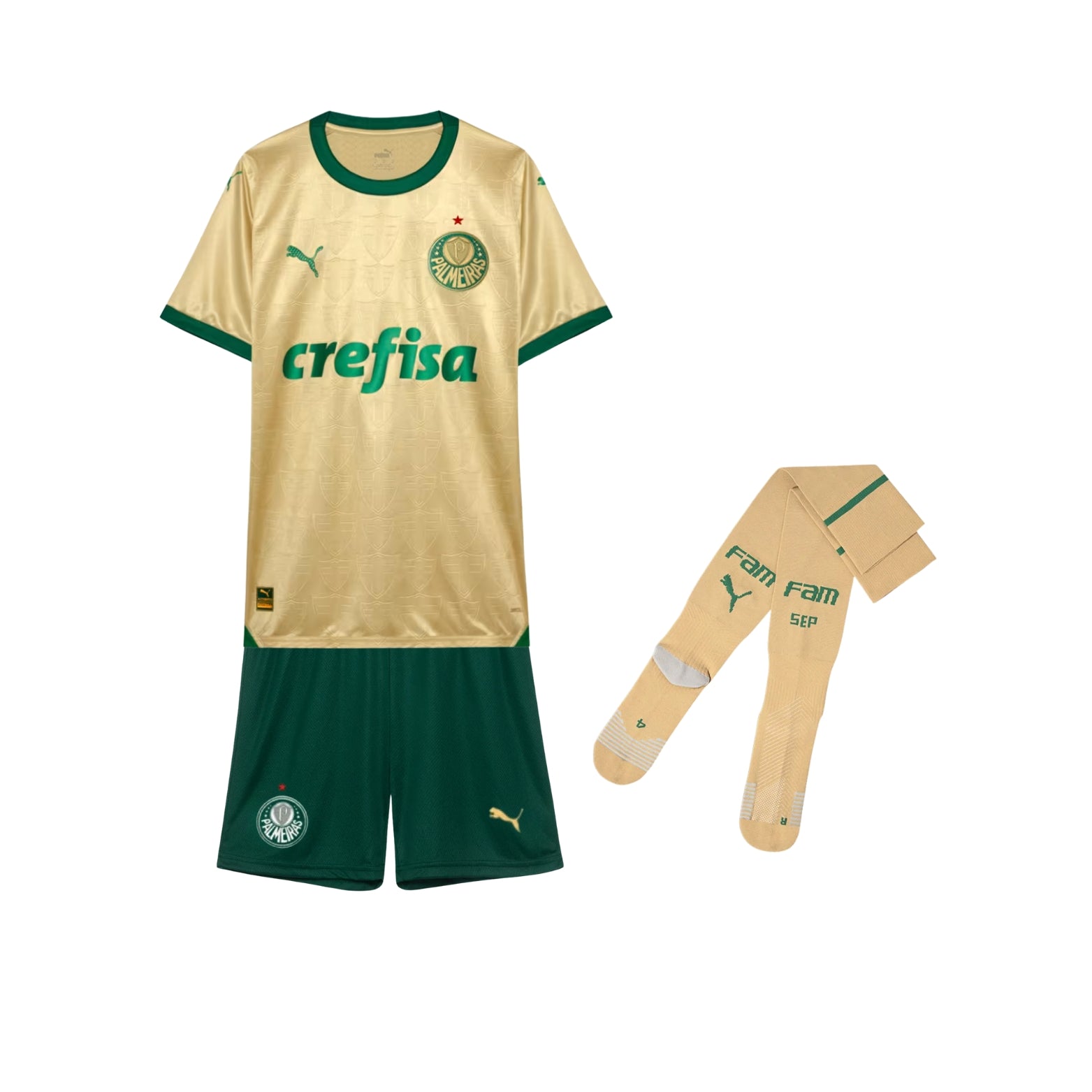 Kit - Palmeiras Troisième 24/25