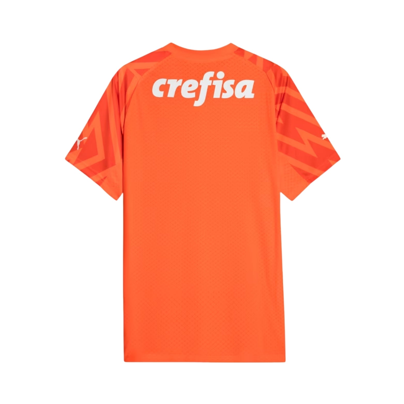 Palmeiras Gardiens de But 24/25