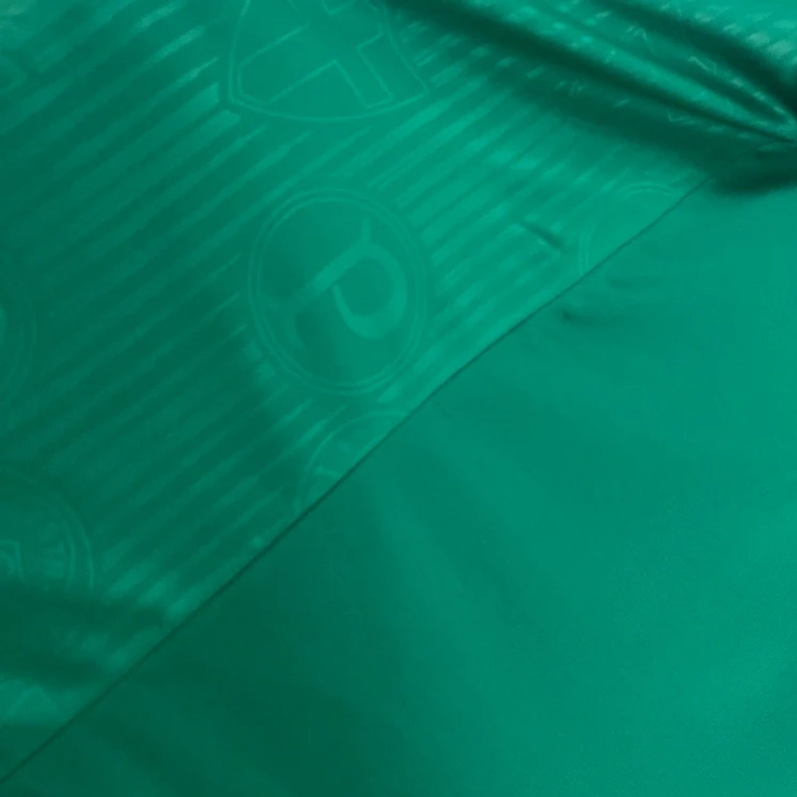 Palmeiras Entraînement 23/24 - Manches Cava