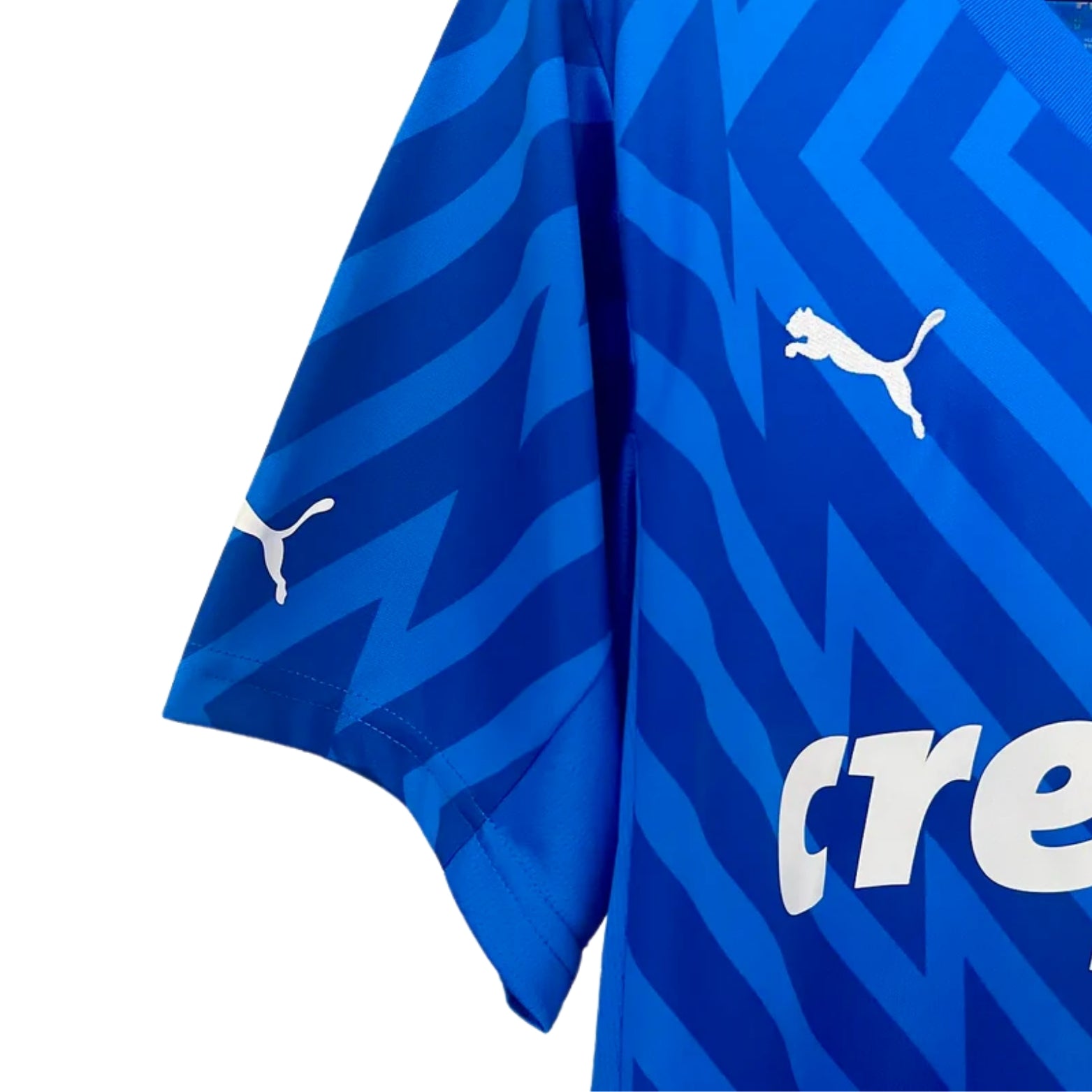 Palmeiras Gardiens de But 24/25