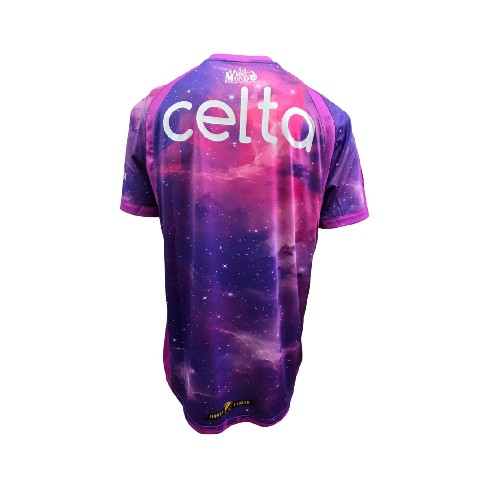 Coquimbo Unido Gardiens de But 25/26