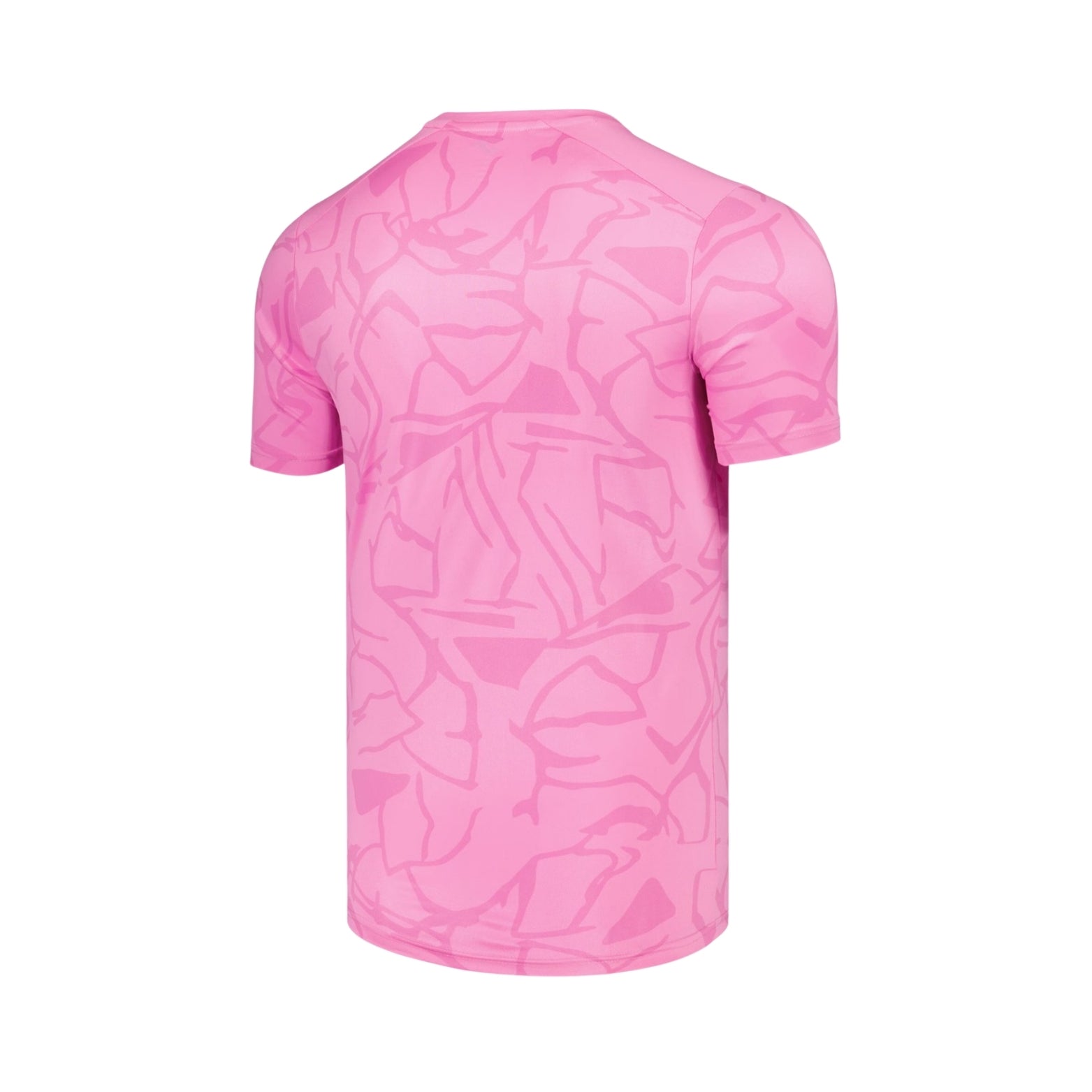 Hibernian Gardiens de But 25/26