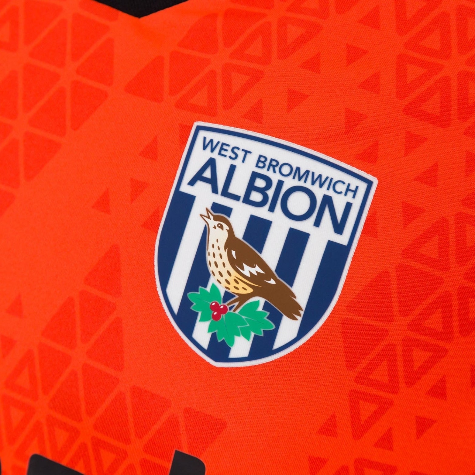 West Bromwich Albion Gardiens de But 25/26
