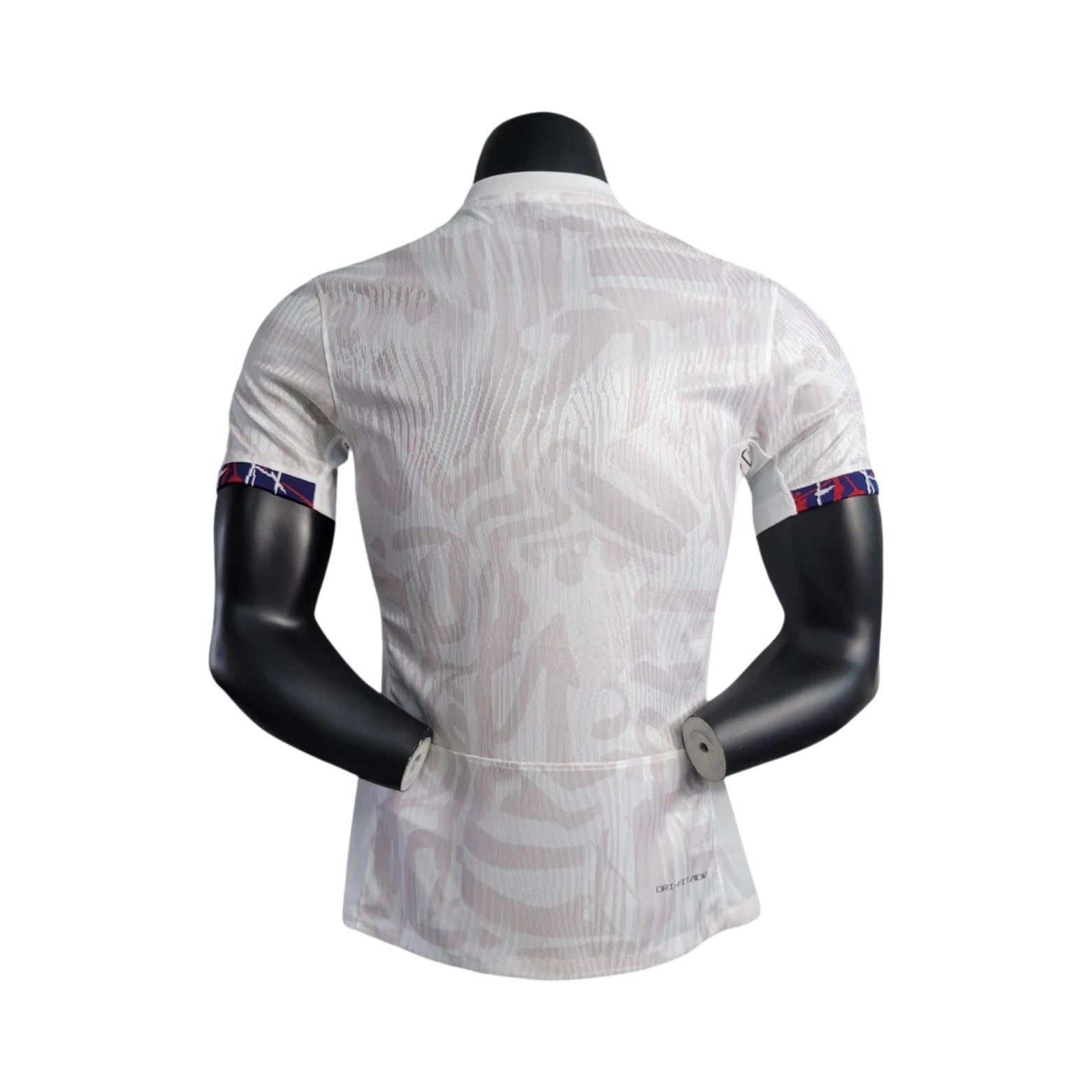 France Édition Spéciale 22/23 - Version Joueur