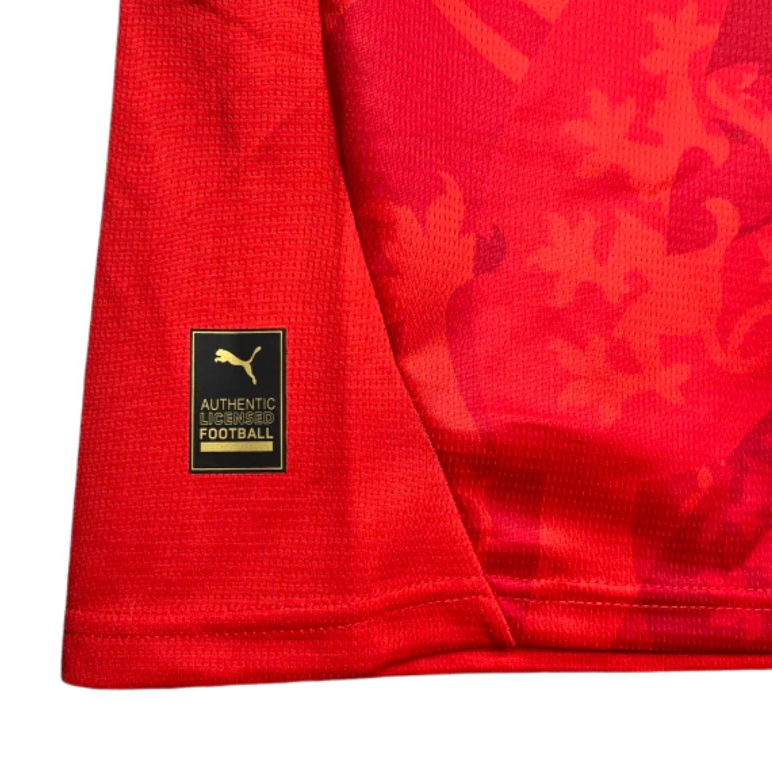 République Tchèque Domicile 24/25