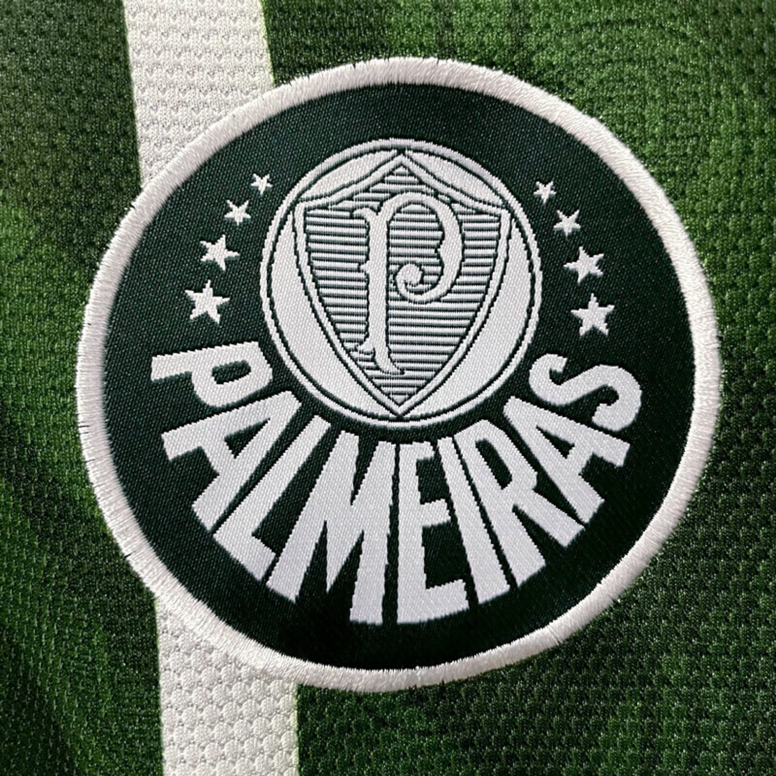 Palmeiras Domicile 95/96