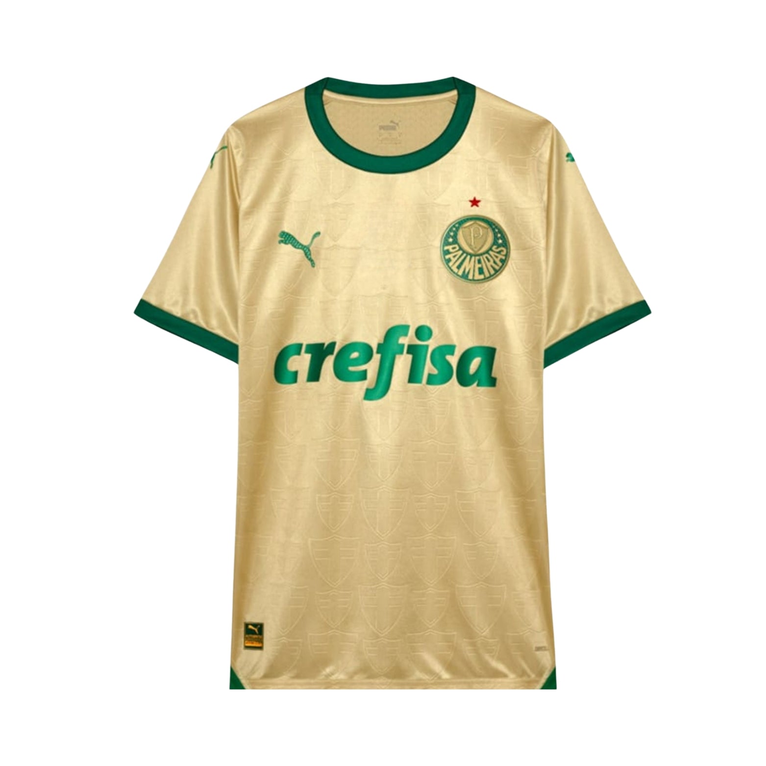 Palmeiras Troisième 24/25