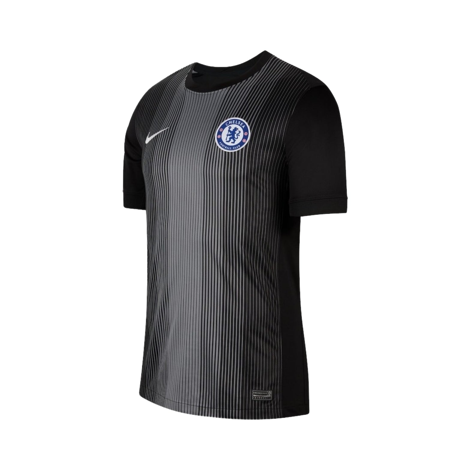 Chelsea Gardiens de But 25/26