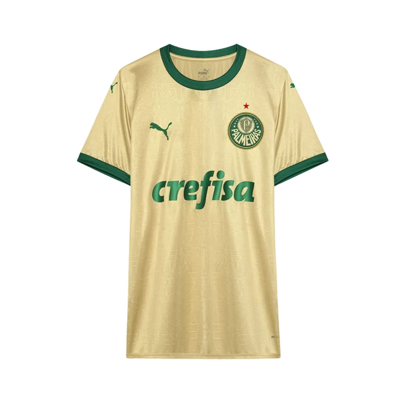 Palmeiras Troisième 25/26