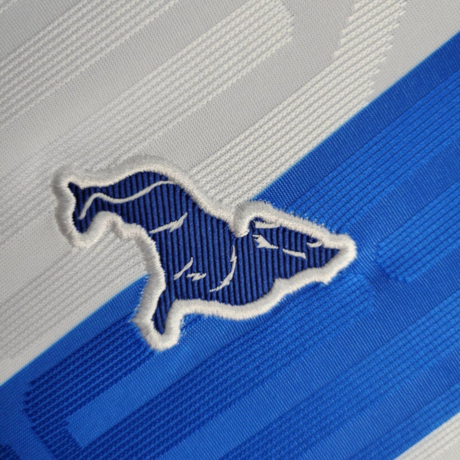 Paysandu Domicile 24/25 - Version Féminine