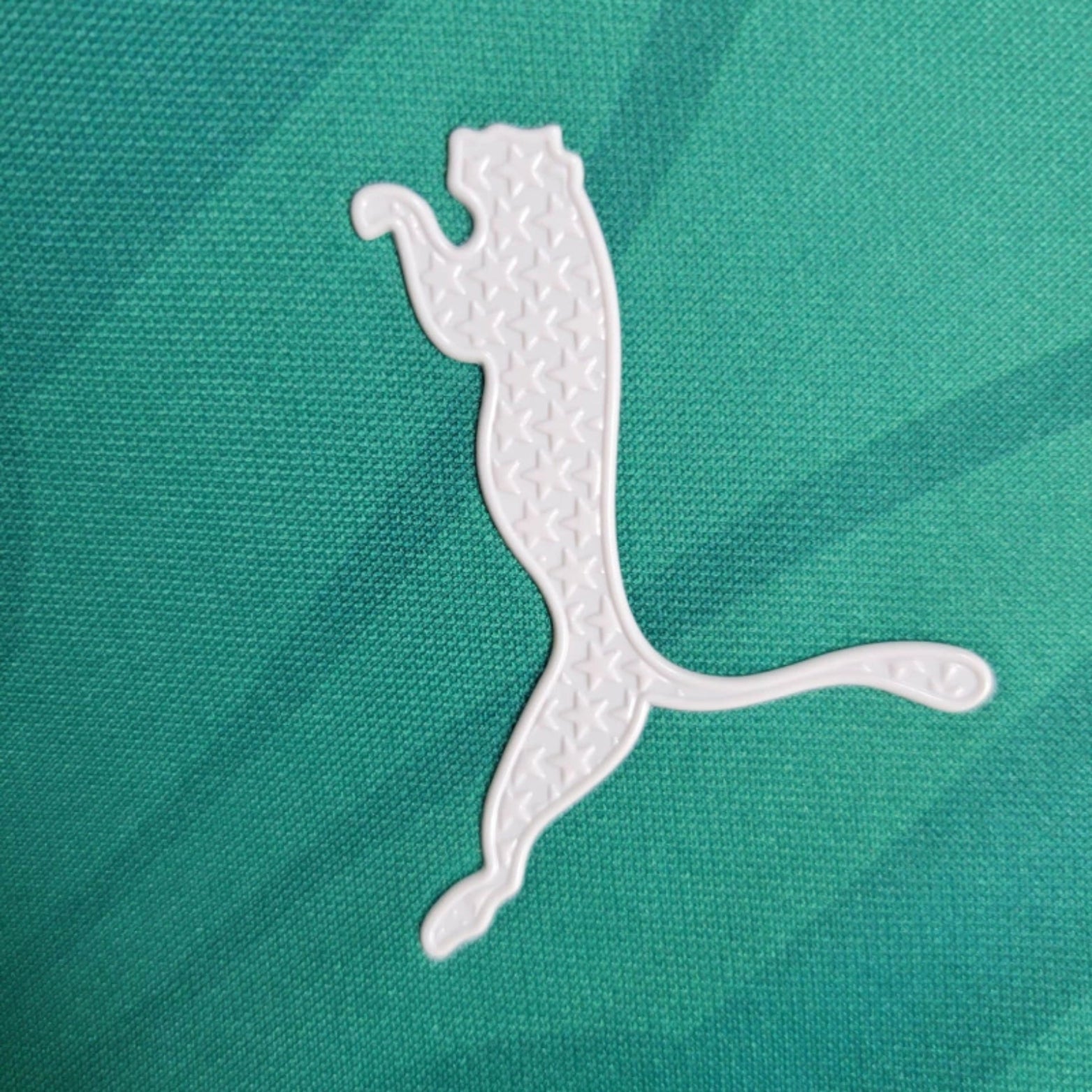 Palmeiras Entraînement 24/25