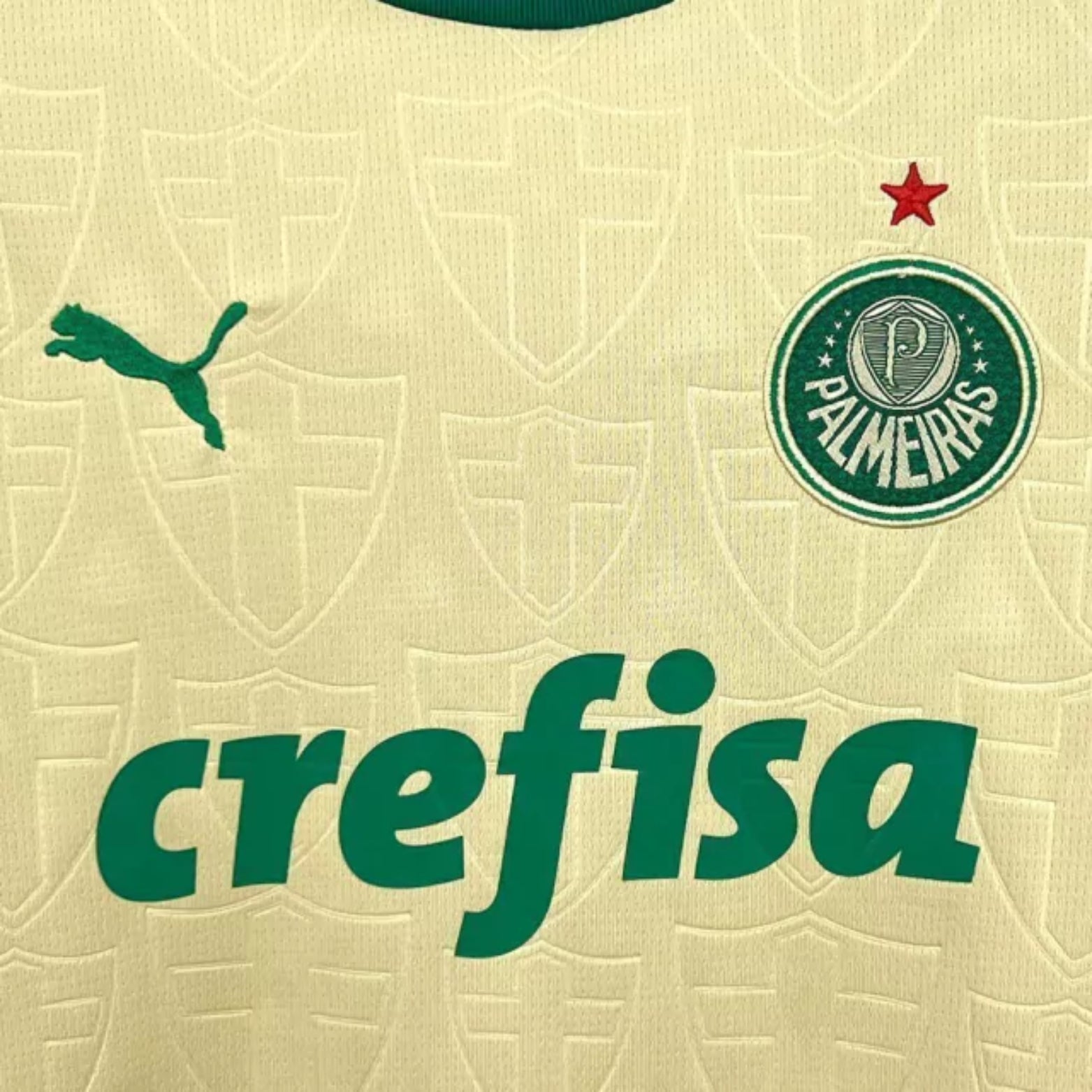 Kit - Palmeiras Troisième 24/25