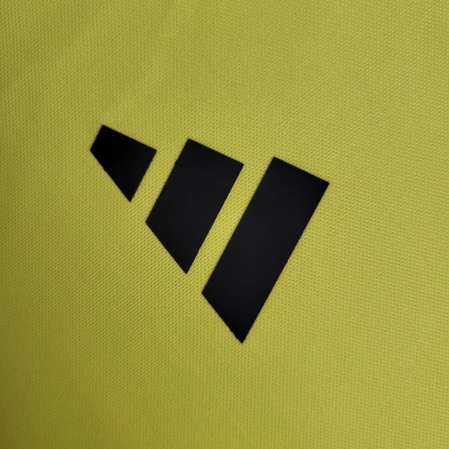 Flamengo Entraînement 24/25