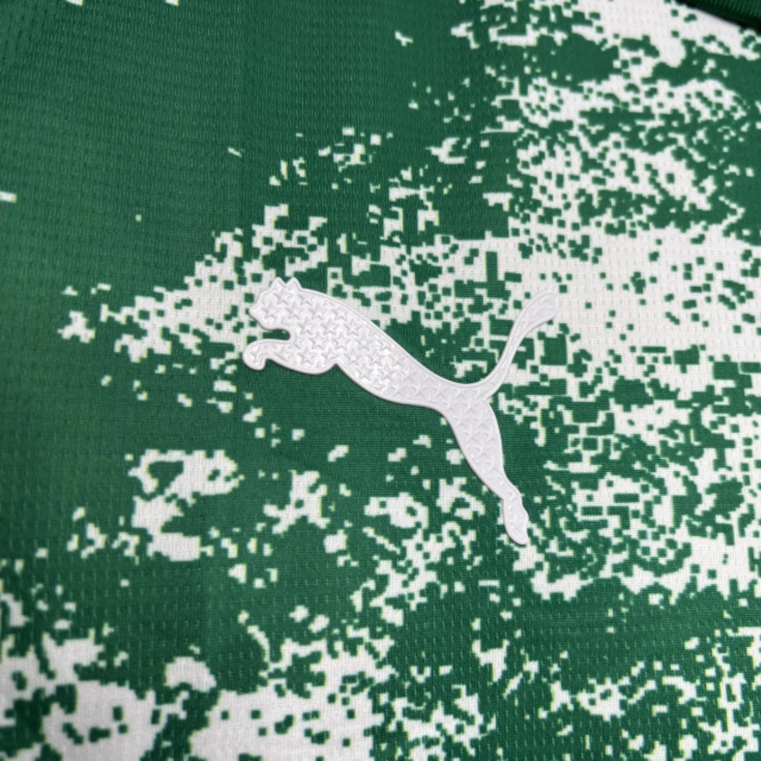 Palmeiras Édition Speciale 24/25