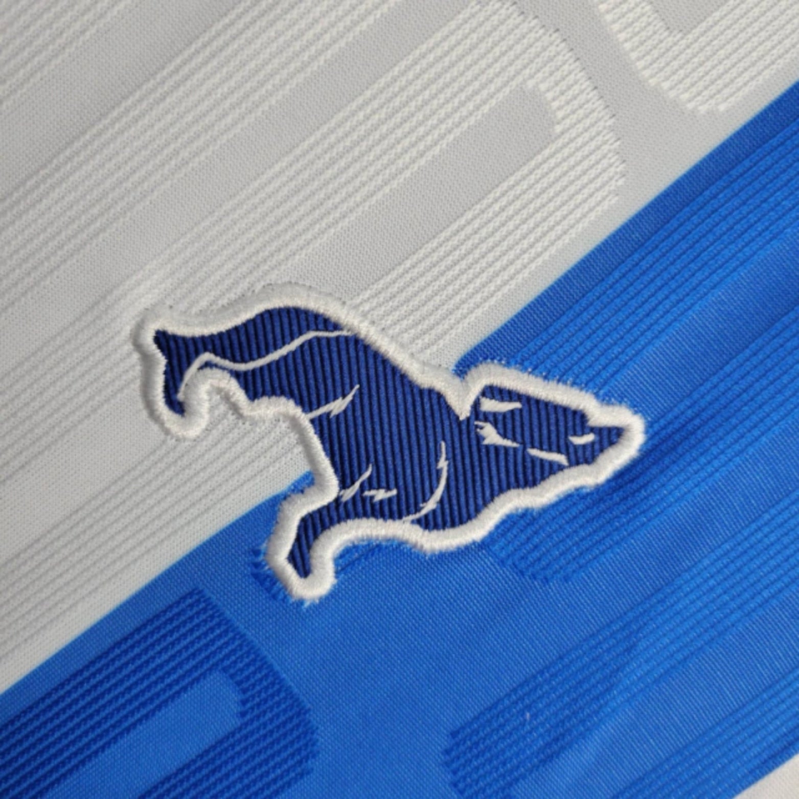 Paysandu Domicile 24/25