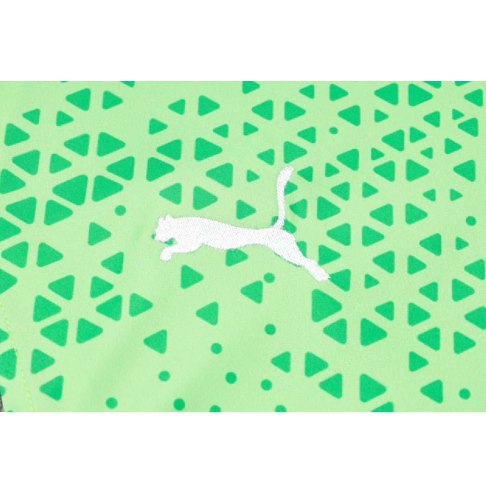 Palmeiras 24/25 - Équipement de Entraînement - Manches Cava