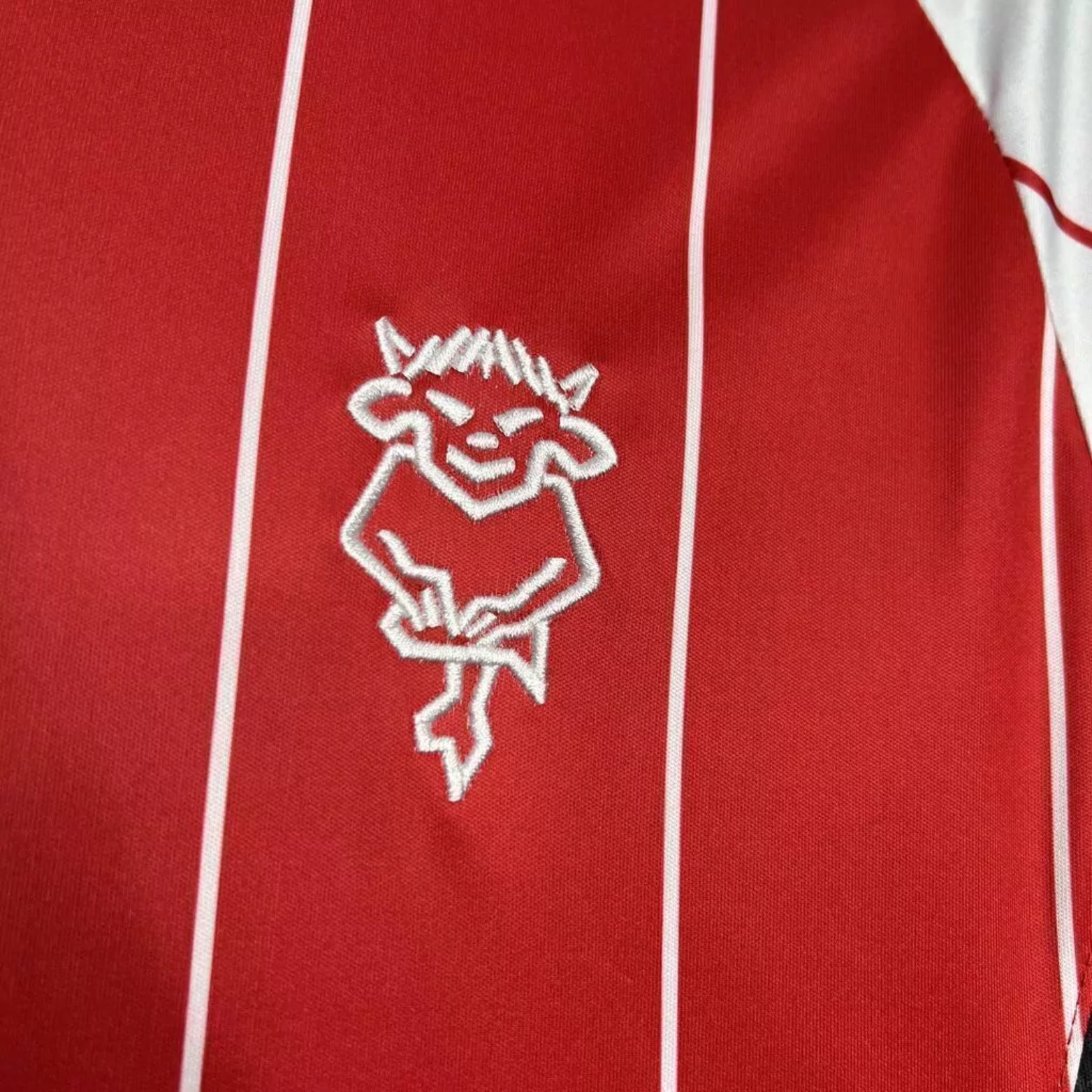 Lincoln City Domicile 24/25