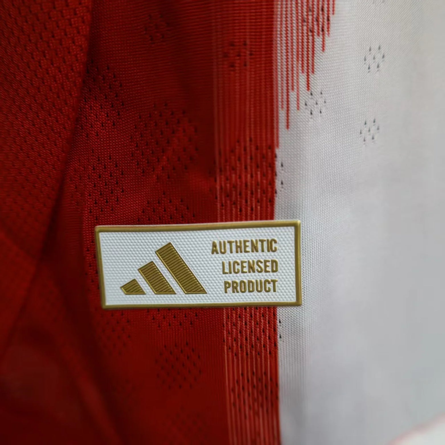 Bayern Munique Domicile 25/26 - Version Joueur