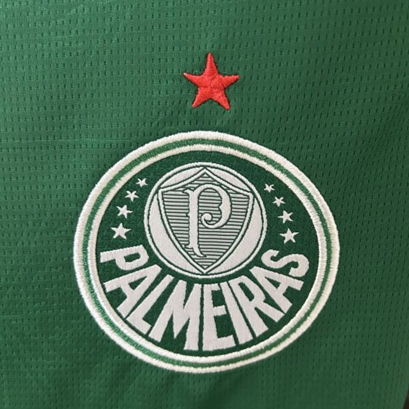 Palmeiras Domicile 25/26 - Version Féminine