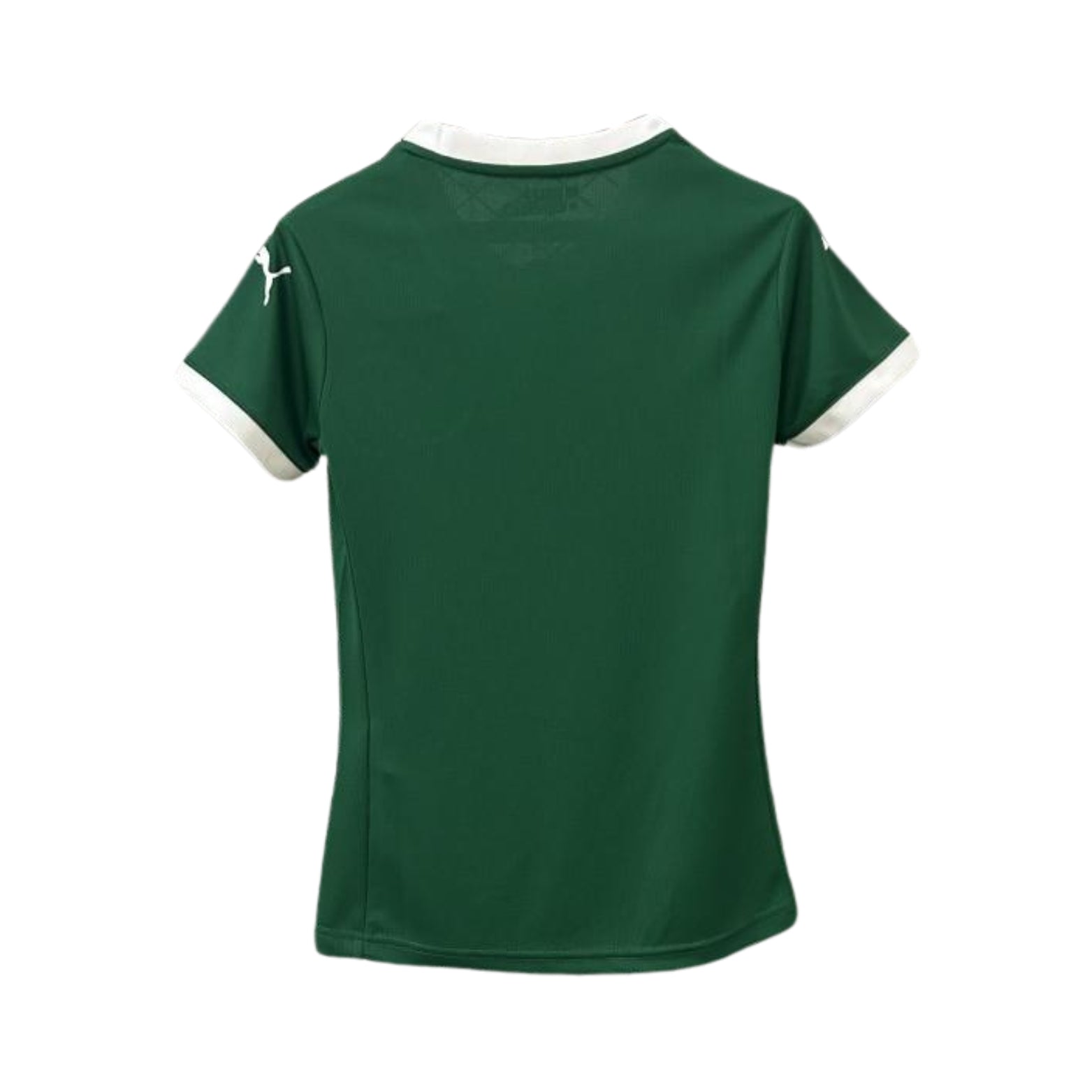 Palmeiras Domicile 25/26 - Version Féminine
